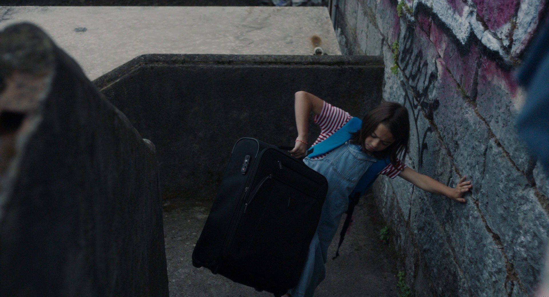 20,000 Species of Bees (2023) —  shot,  lighting