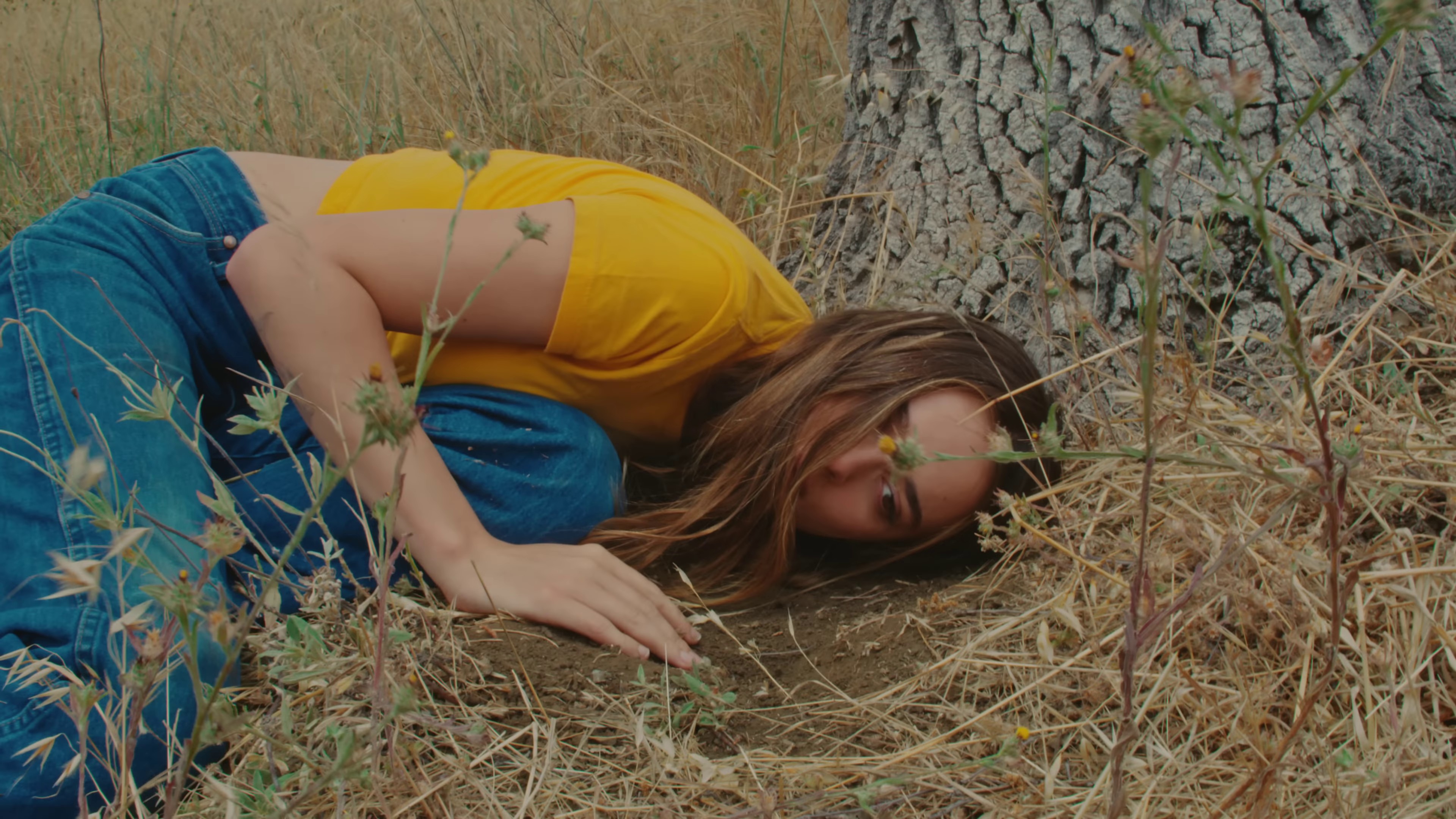 I Don't Wanna Dance (2024) —  shot,  lighting