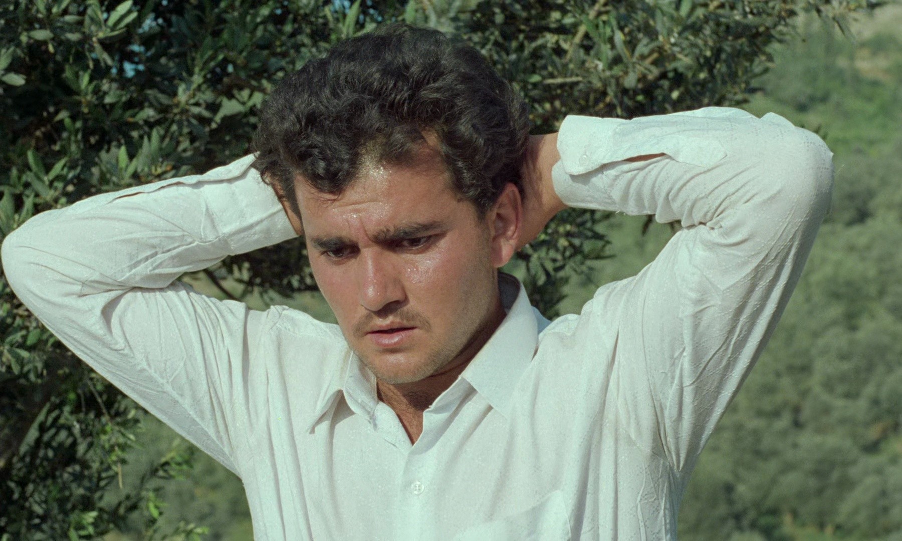 Through the Olive Trees (1995) —  shot,  lighting