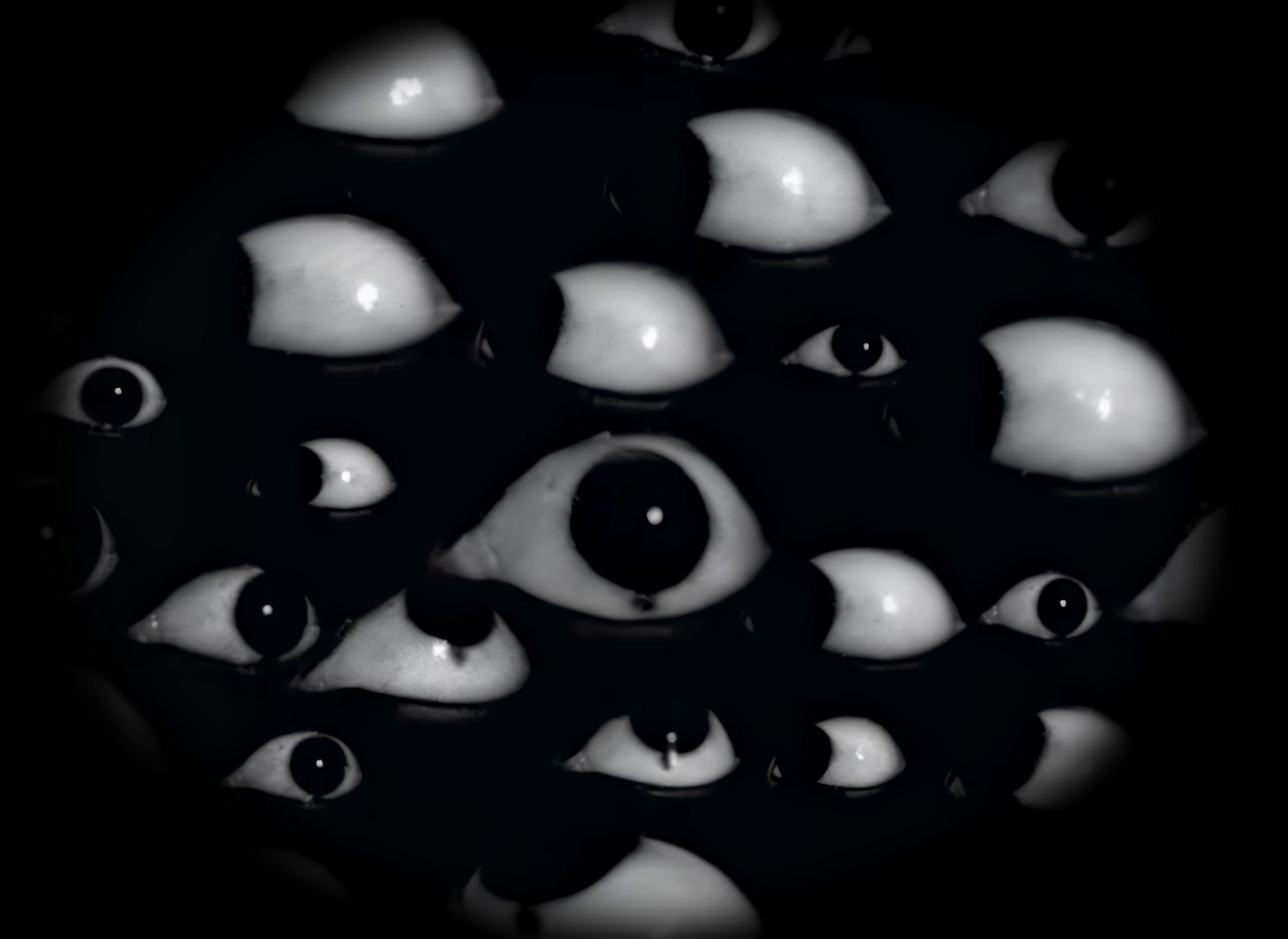 Montecristo (2024) —  shot,  lighting