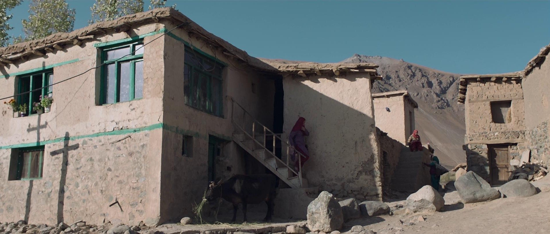 Widow of Silence (2020) —  shot,  lighting