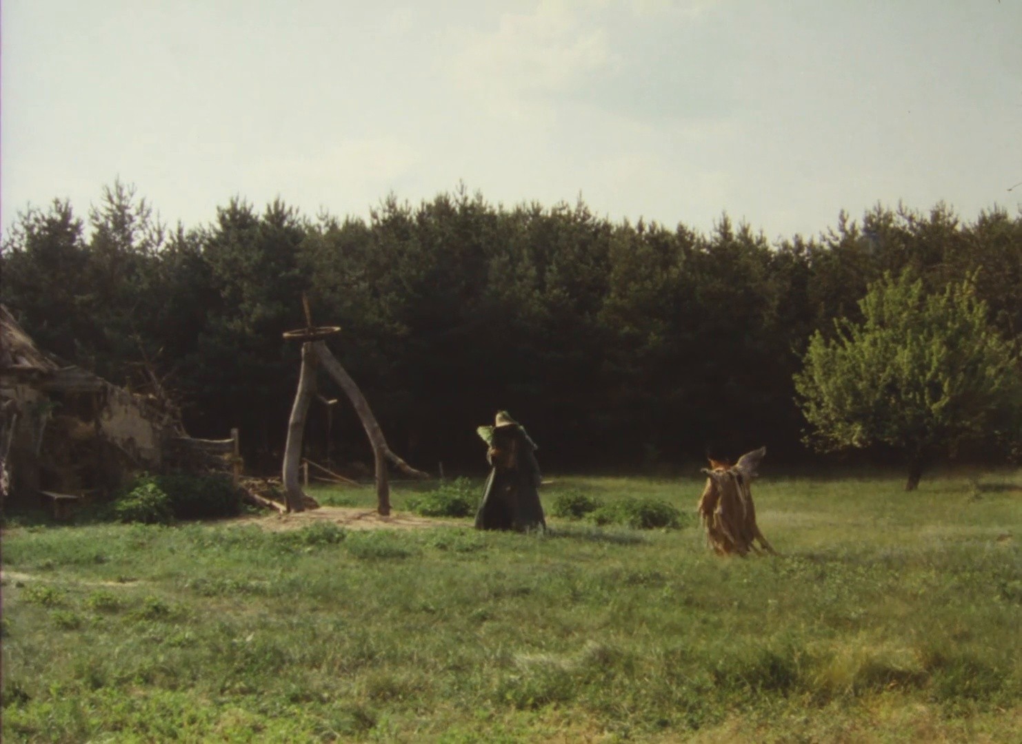 Golos travy (1995) —  shot,  lighting