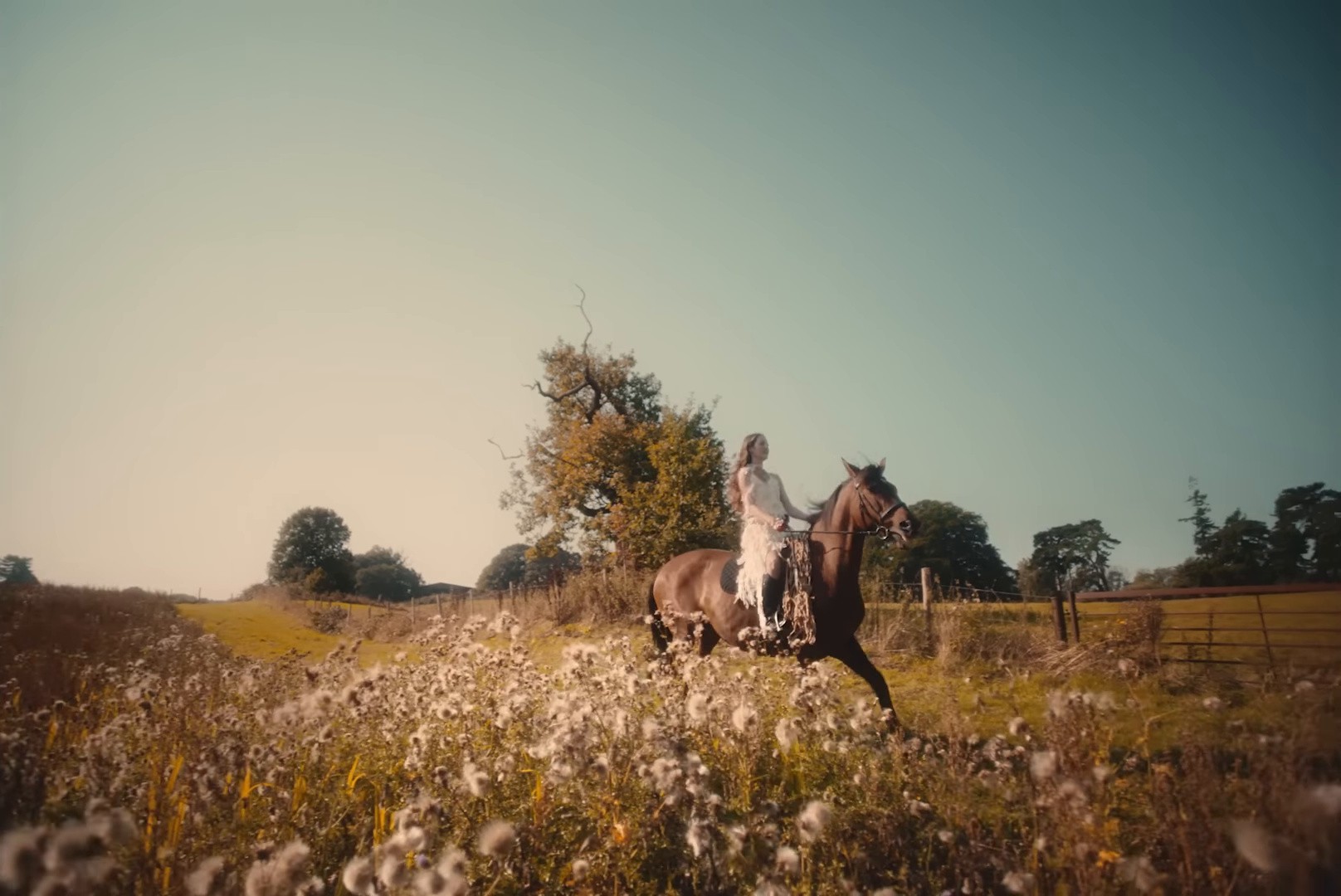 Safety Net (2024) —  shot,  lighting