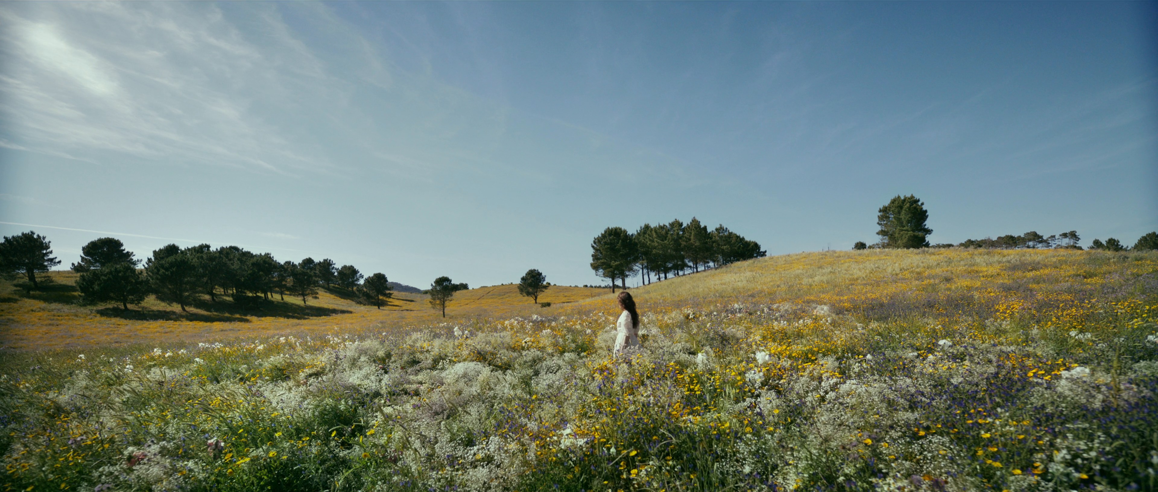 ELIZABETH ARDEN | Find Your Moment (2024) —  shot,  lighting