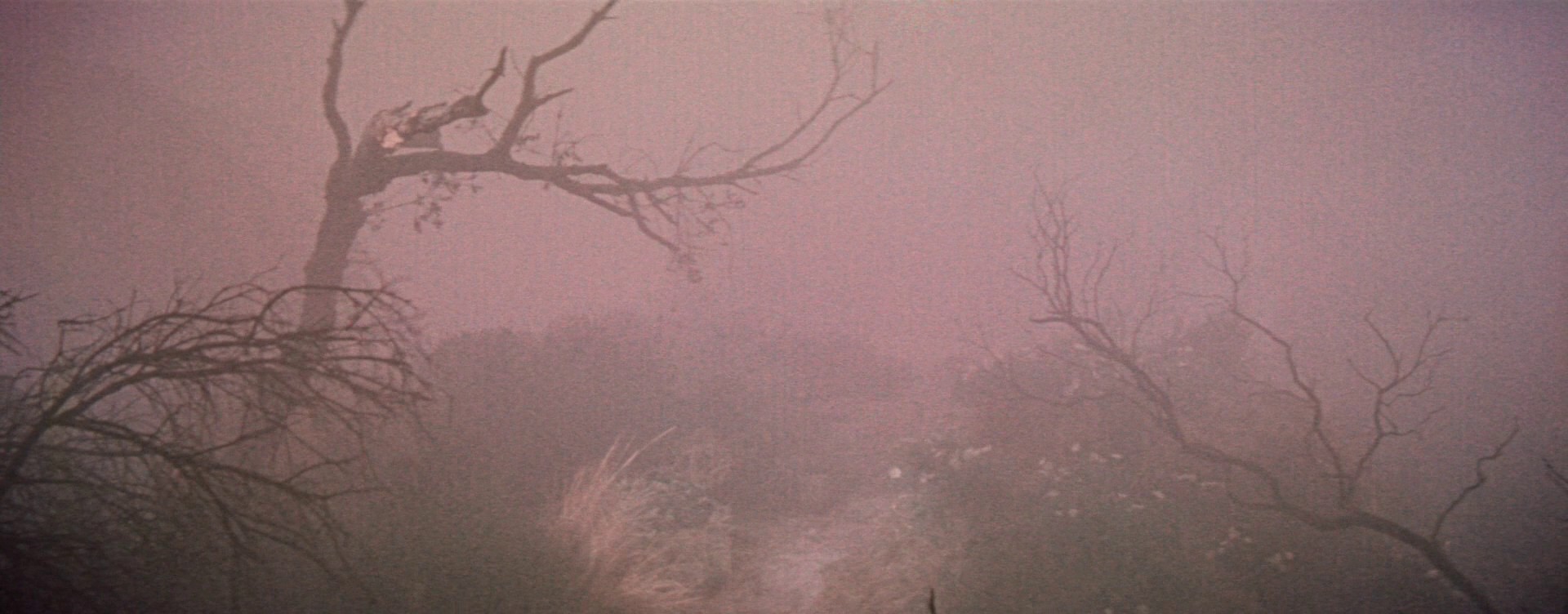 Brigadoon (1954) —  shot,  lighting