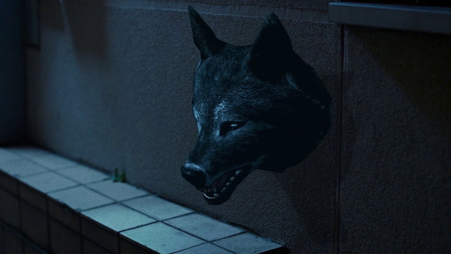 Fangs Out (2018) —  shot,  lighting