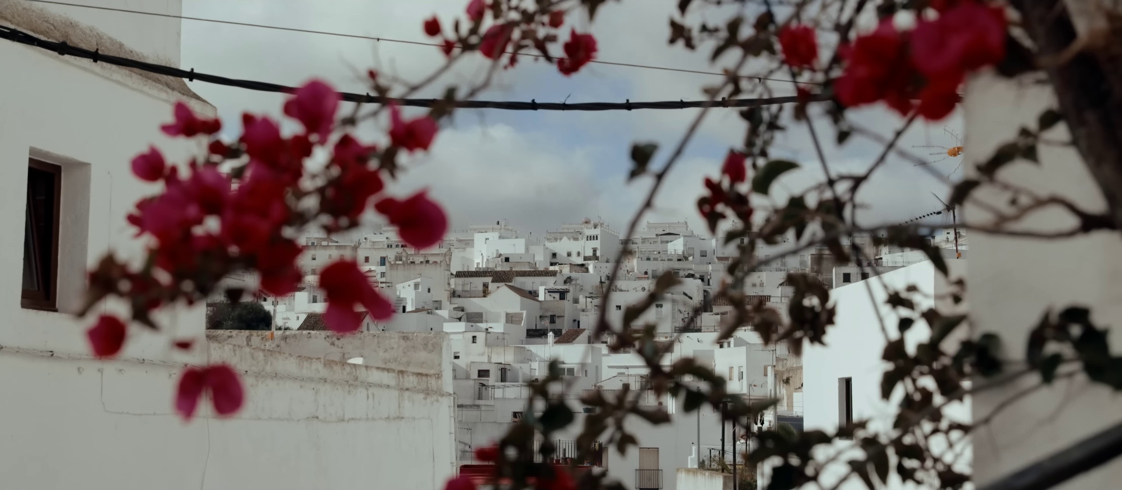 Premier Amour (2023) —  shot,  lighting