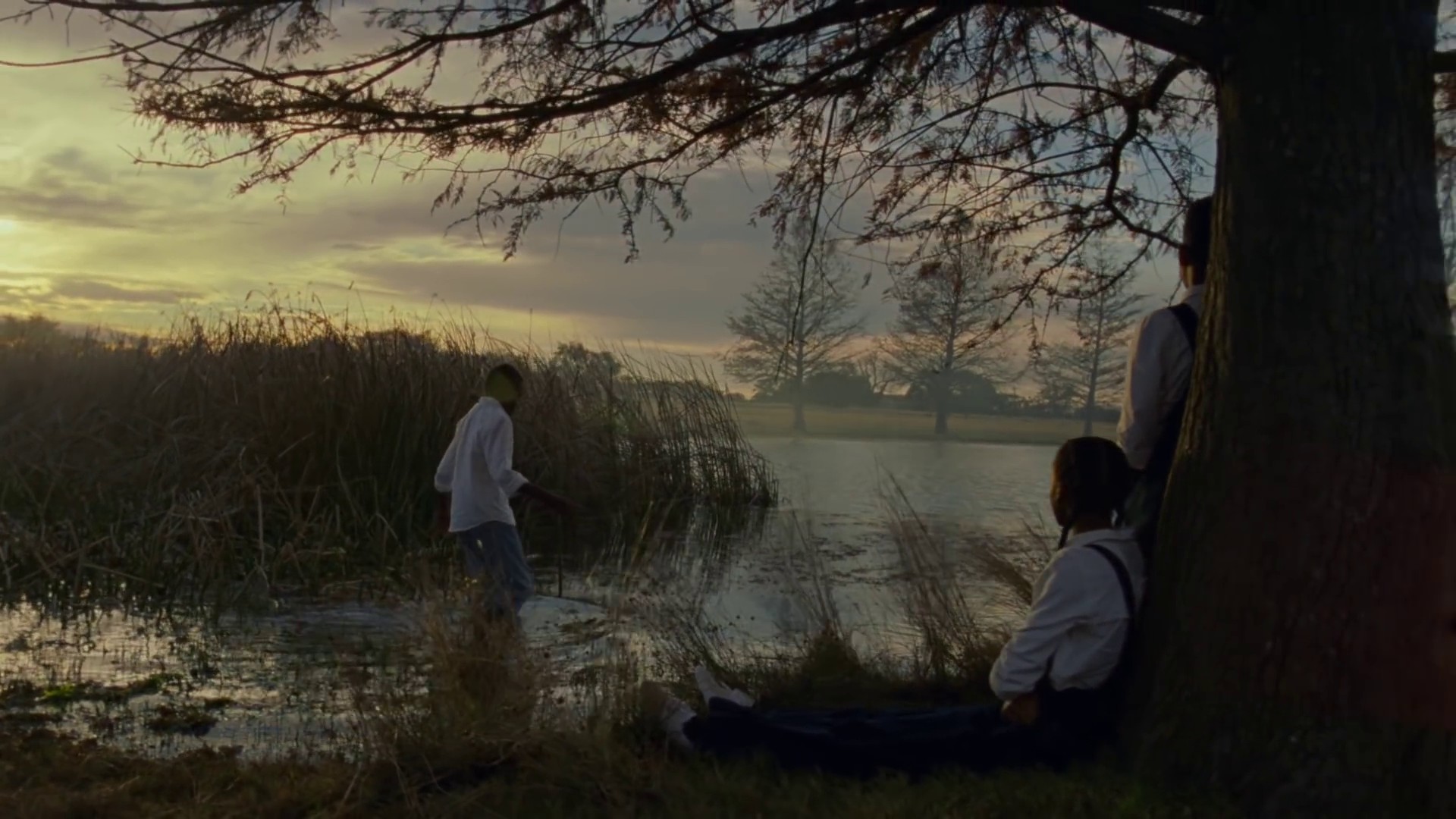 This Land (2019) —  shot,  lighting