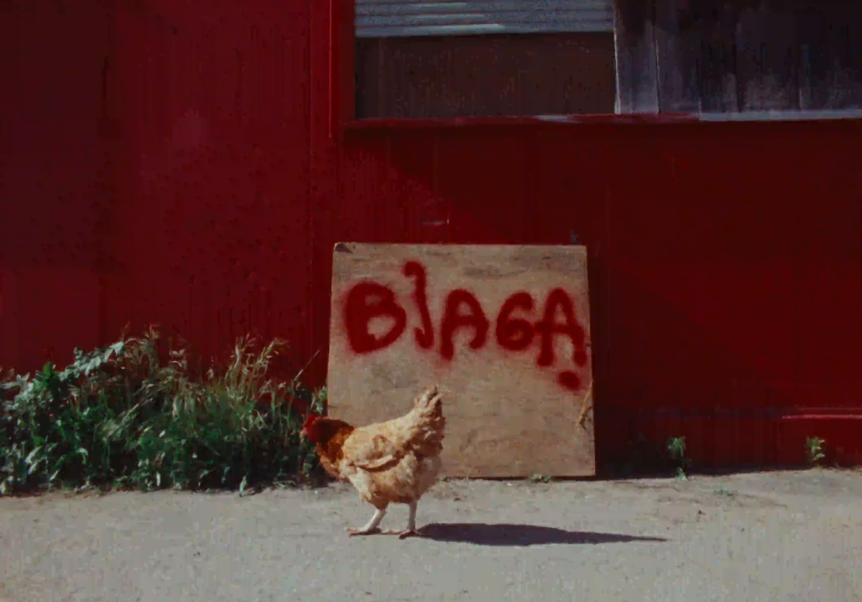 BIAGA (2025) —  shot,  lighting