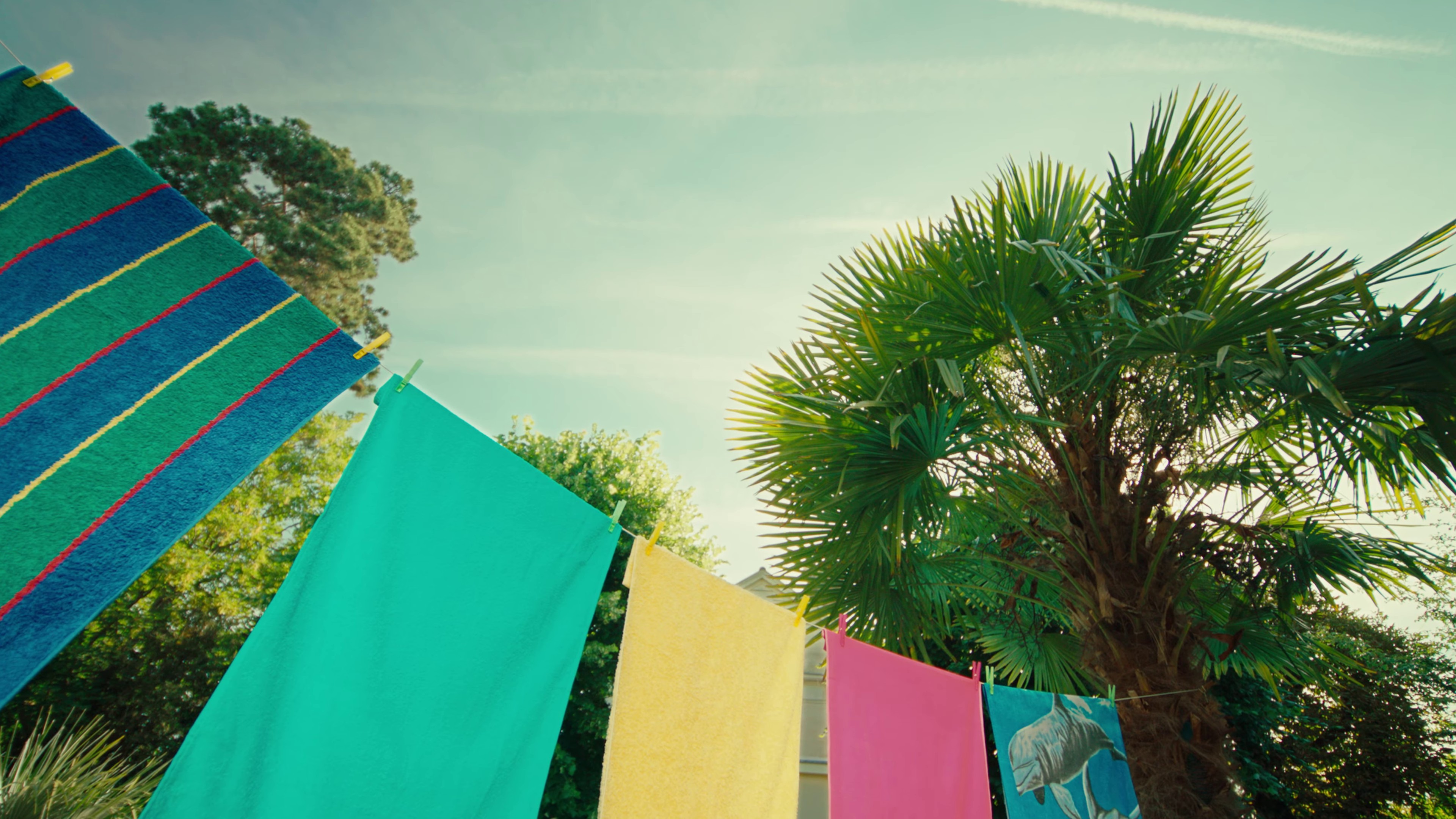 Secret (2022) —  shot,  lighting