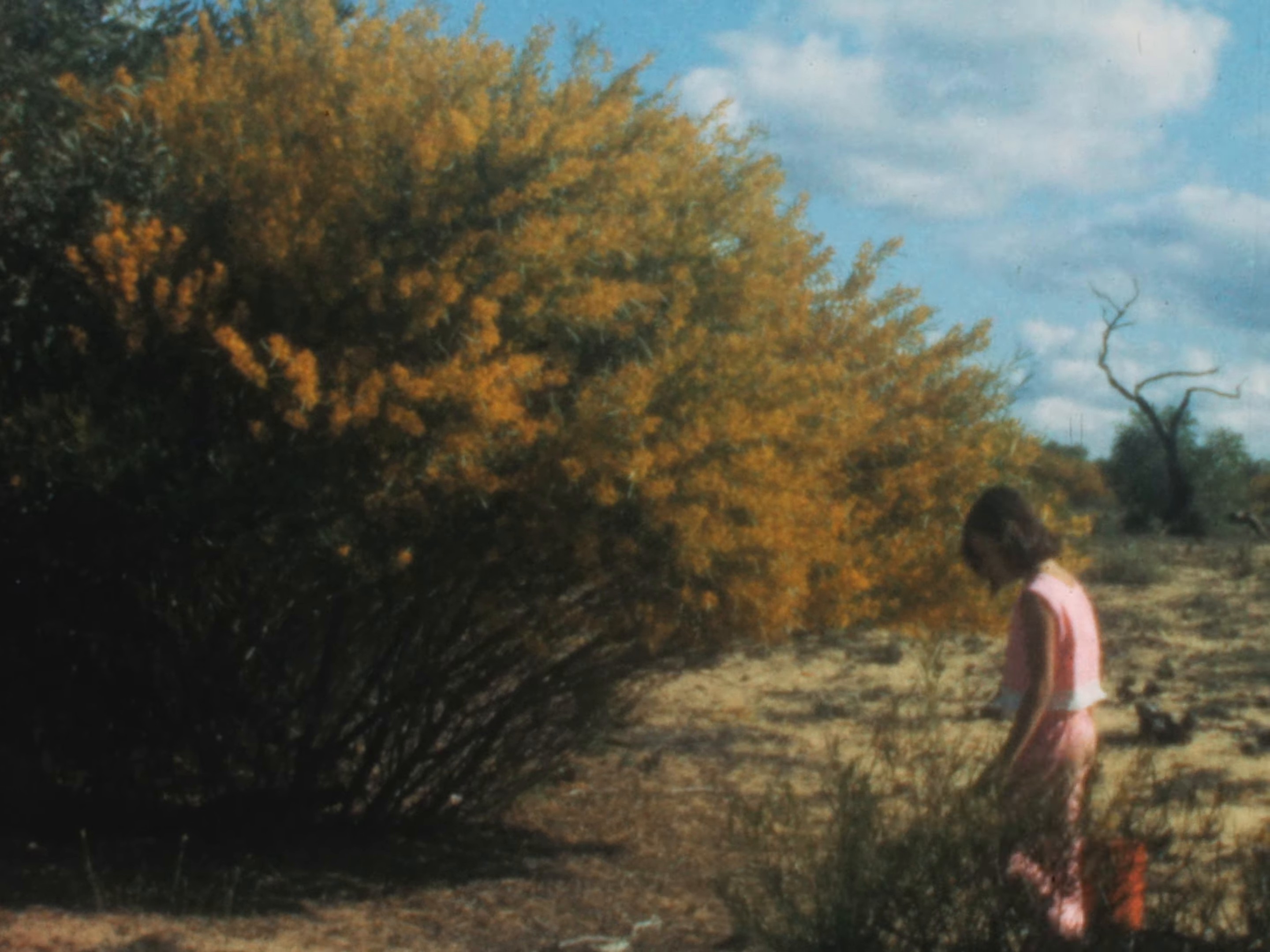 All Your Life (2024) —  shot,  lighting