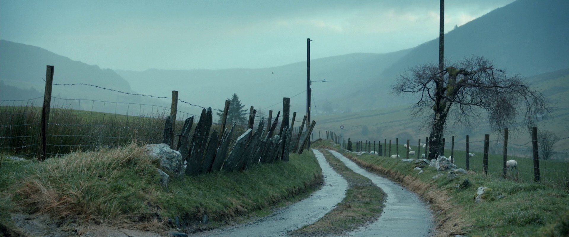 Brian and Charles (2022) —  shot,  lighting