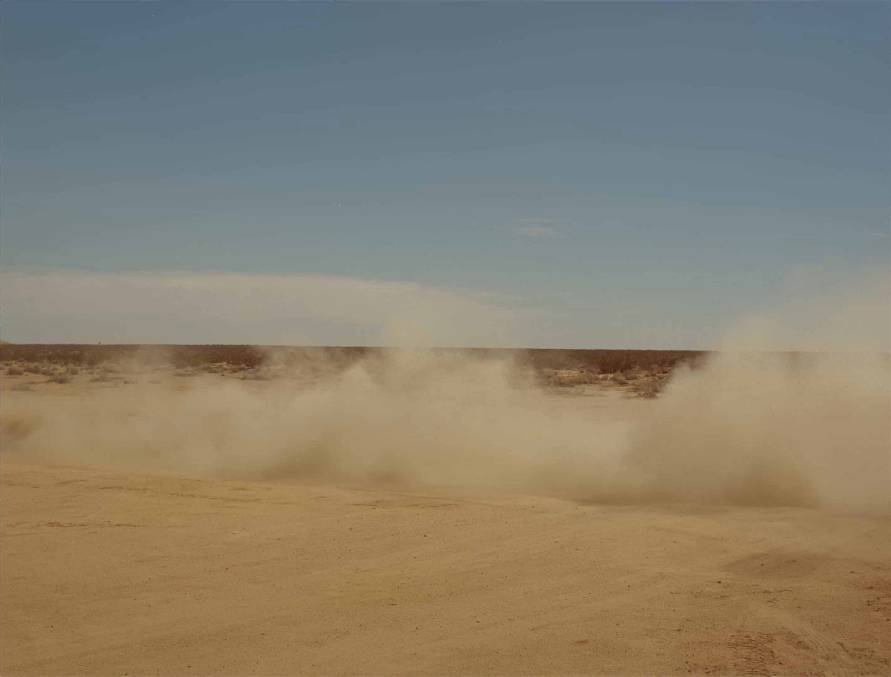 Sauvignon Blanc (2026) —  shot,  lighting