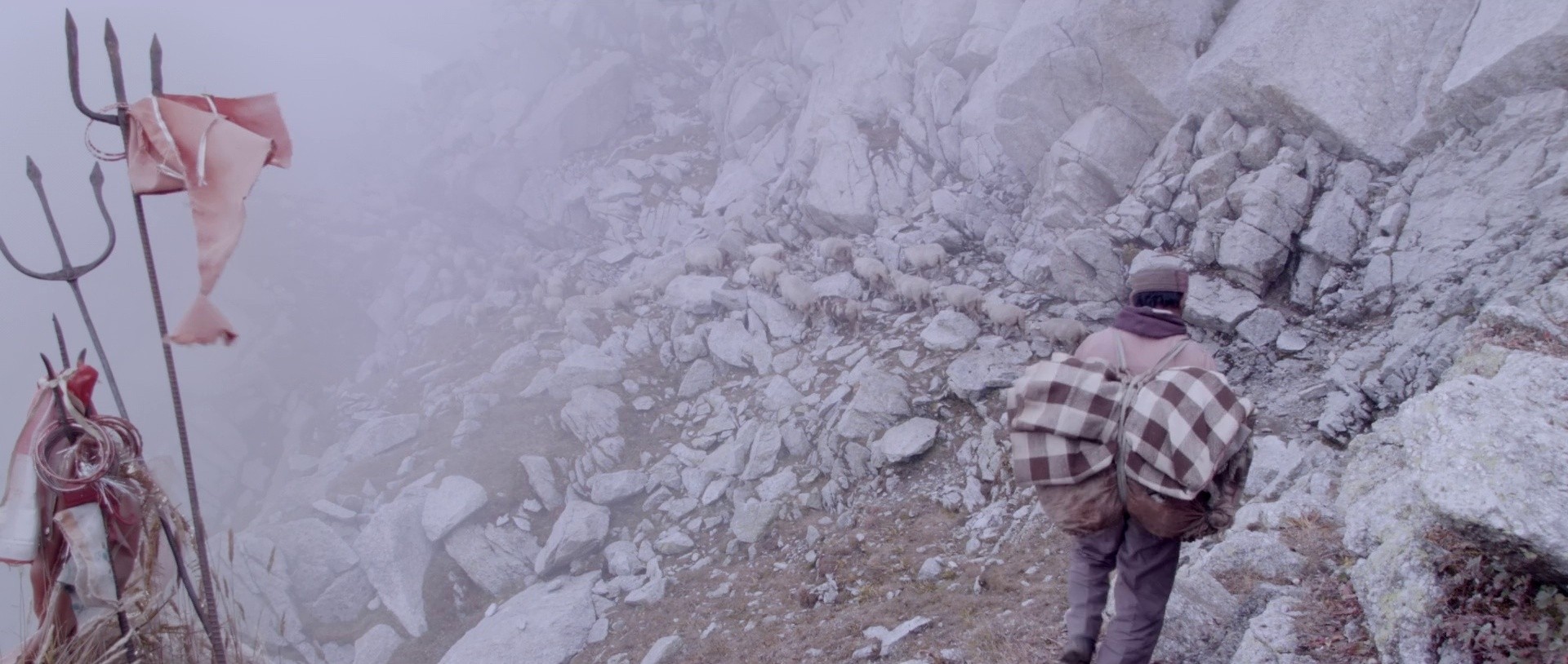 The Gold-Laden Sheep and the Sacred Mountain (2022) —  shot,  lighting