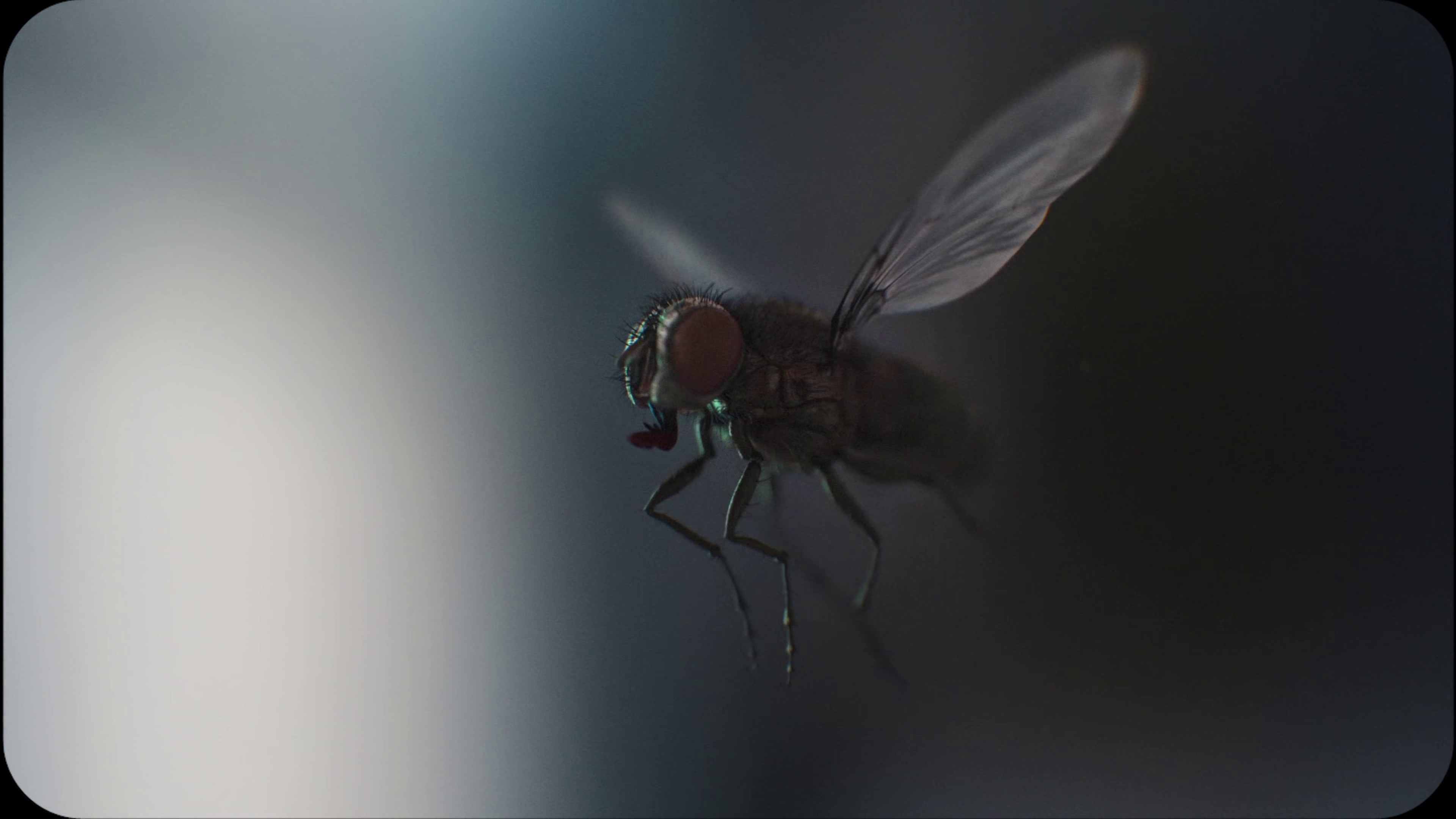 STAY  (2021) —  shot,  lighting