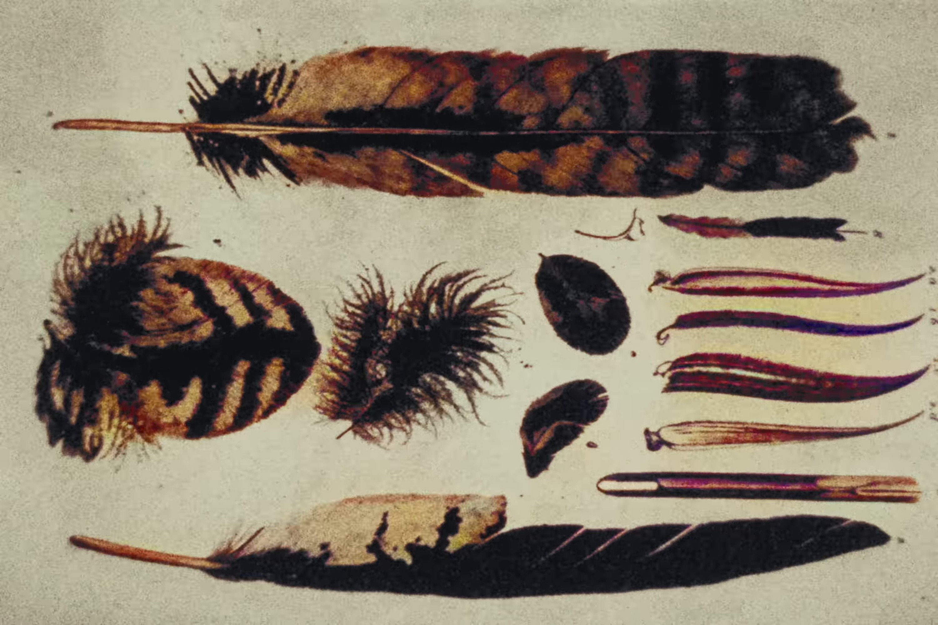 dope (2025) —  shot,  lighting