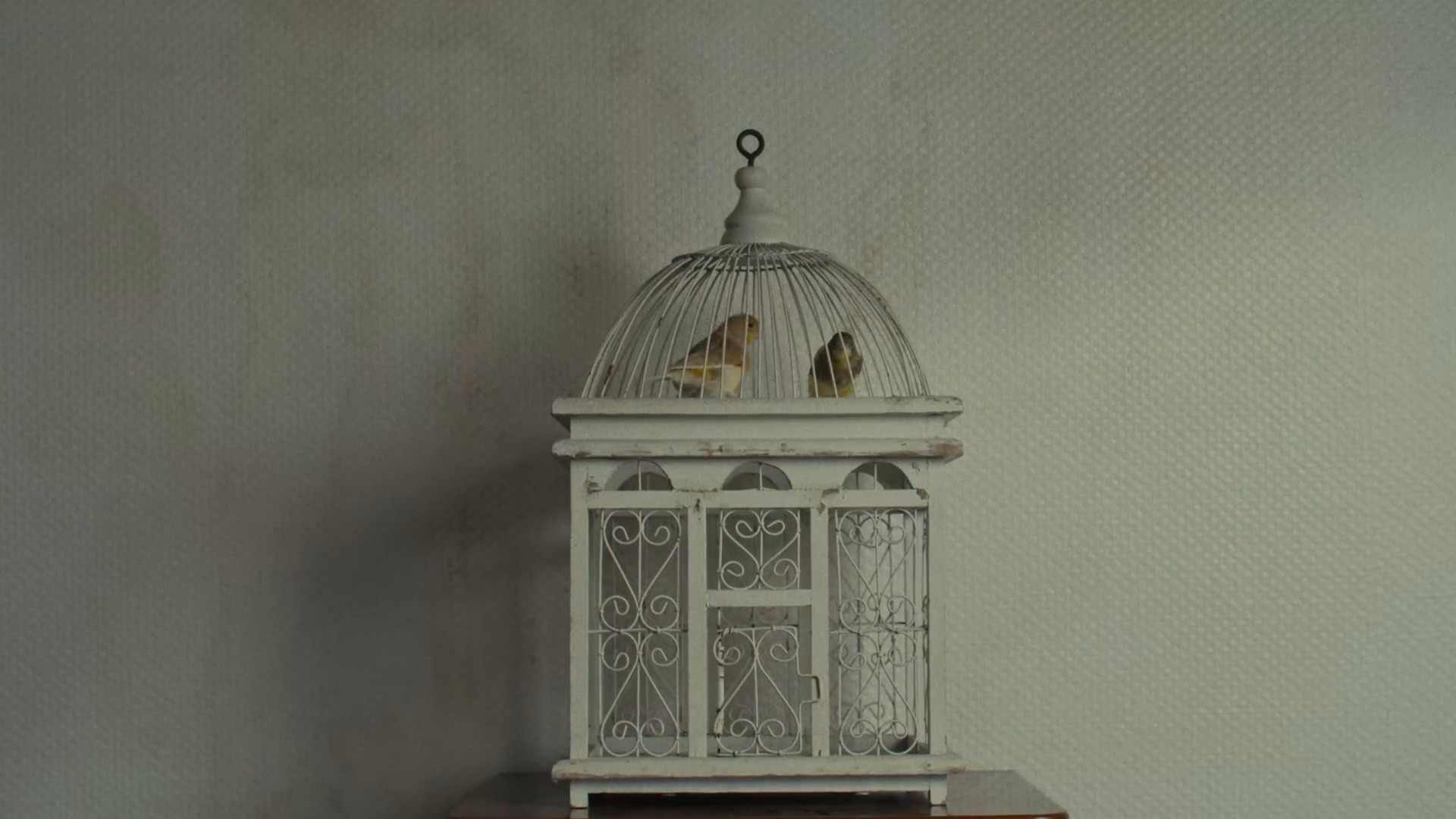 Le Mur du Salon (2025) —  shot,  lighting