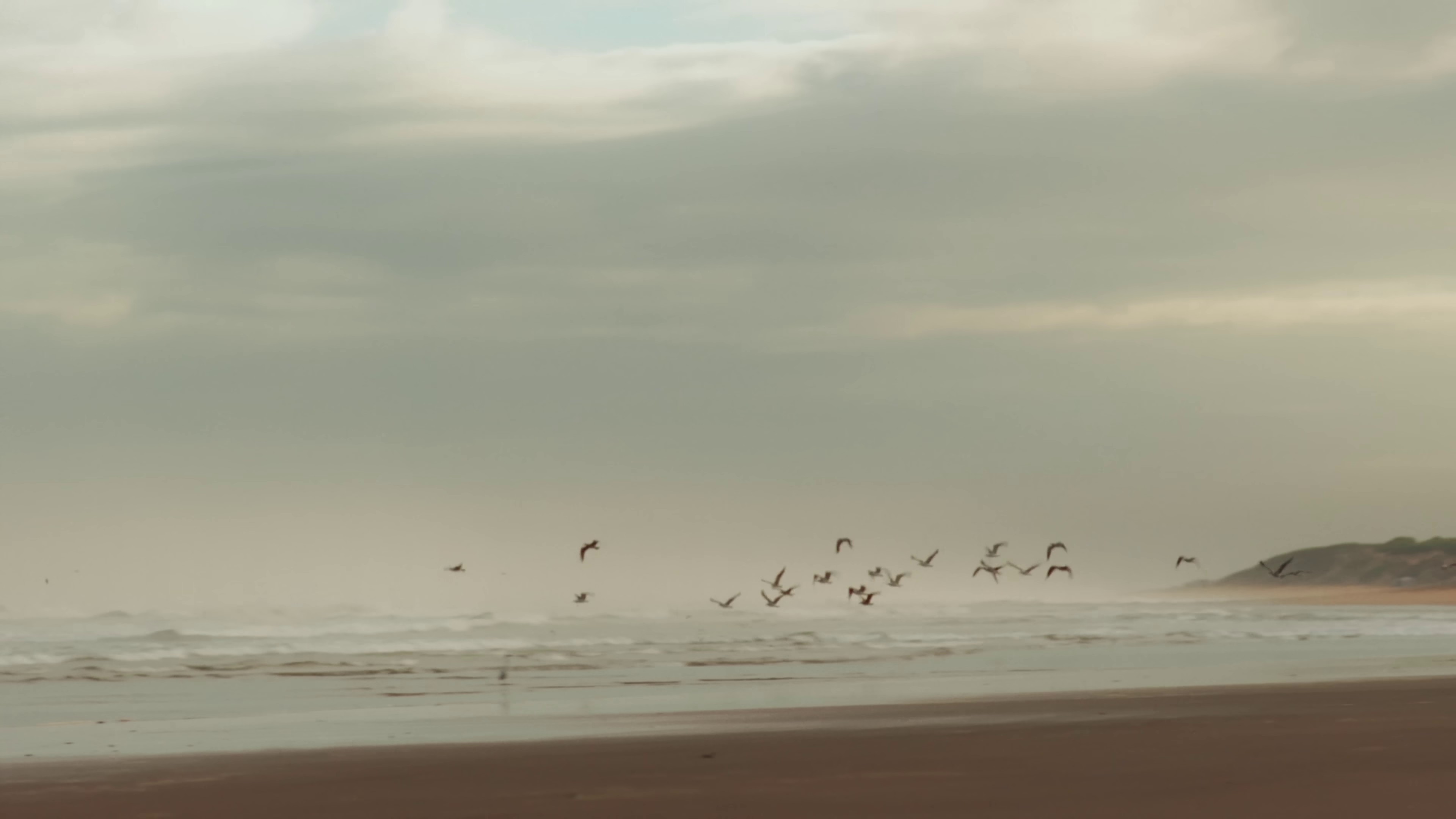 MOUJA (2022) —  shot,  lighting