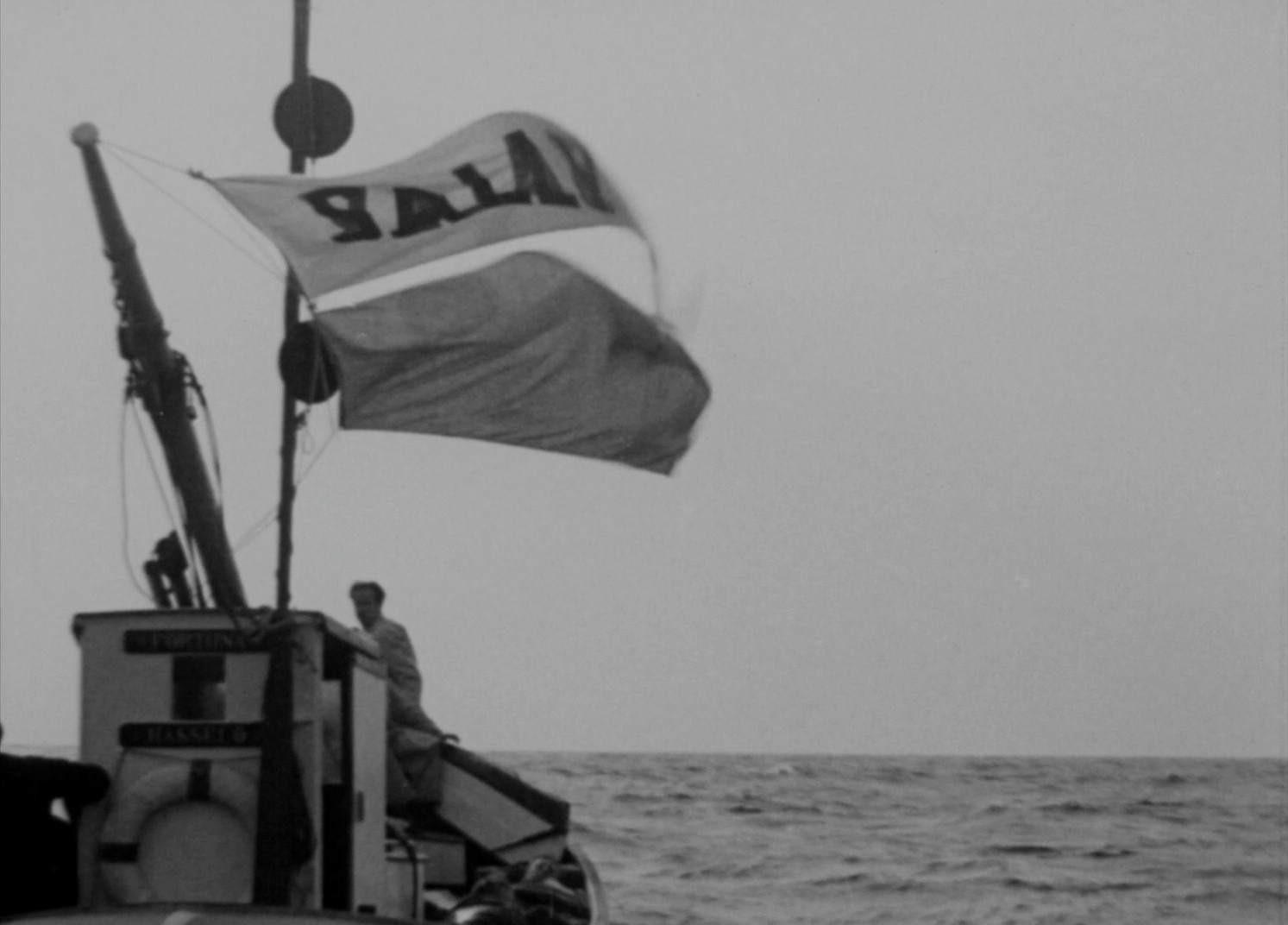 The Swedish Torpedo (2024) —  shot,  lighting