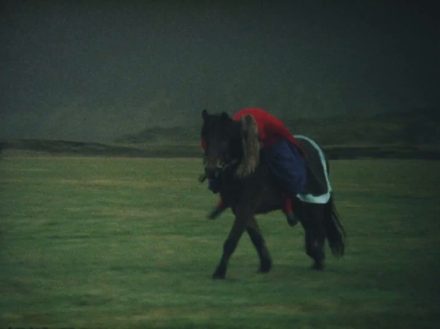 Sóley (1982) —  shot,  lighting