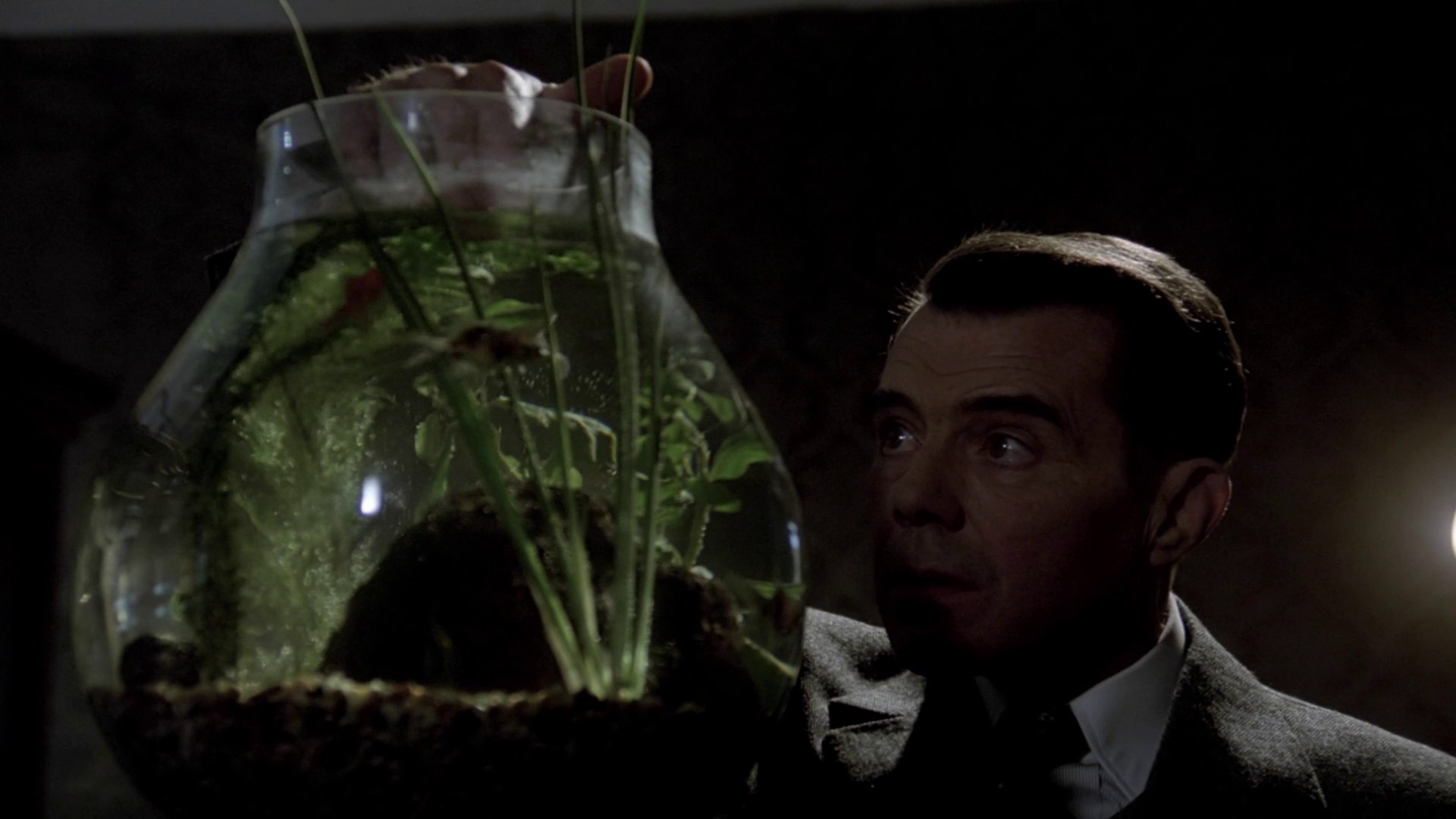 Despair (1978) —  shot,  lighting