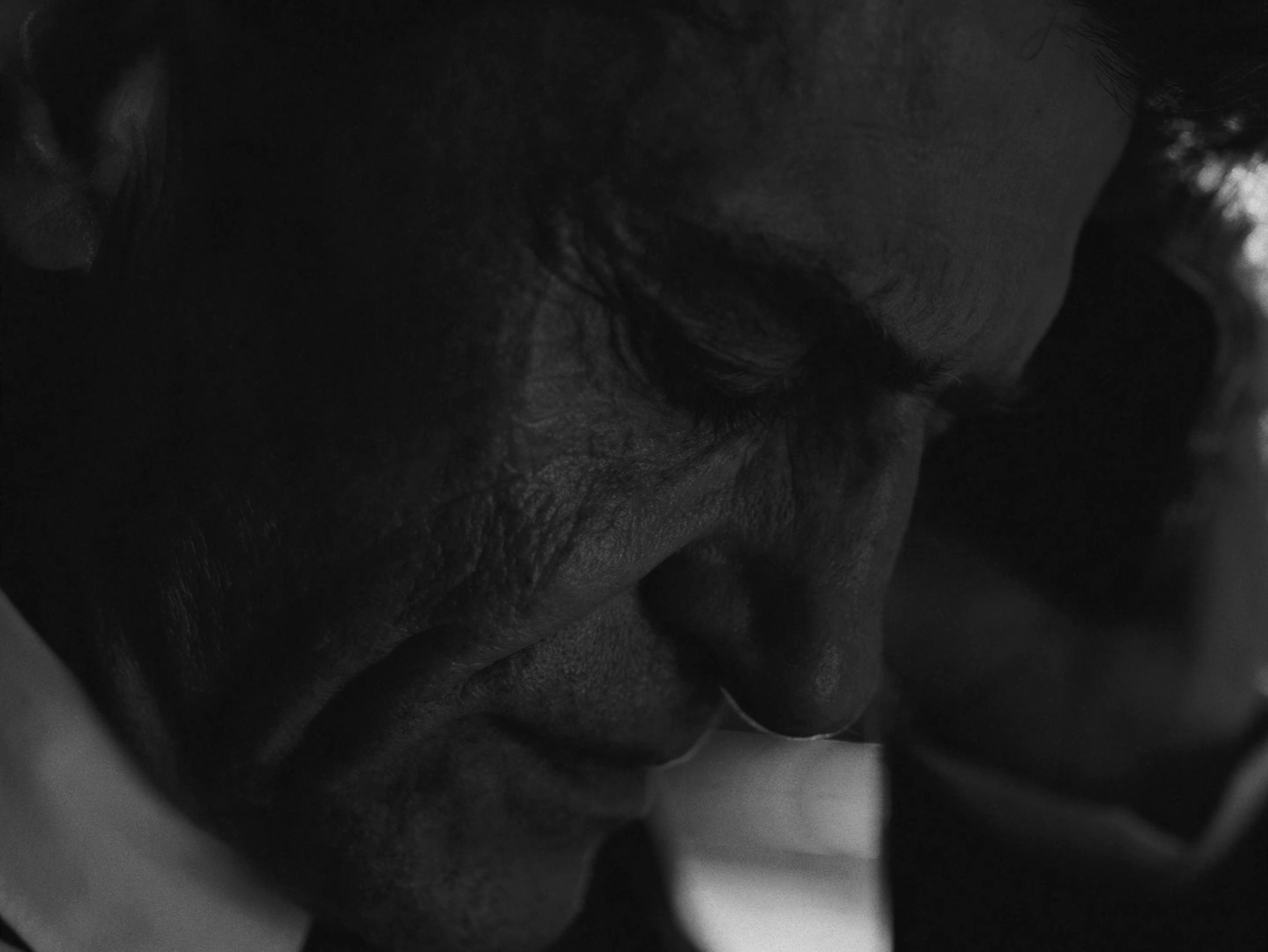 Core (2025) —  shot,  lighting