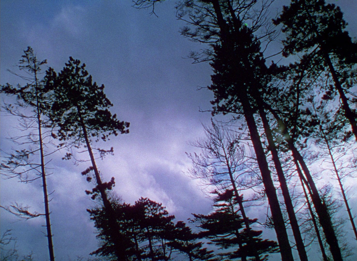 Gone to Earth (1950) —  shot,  lighting