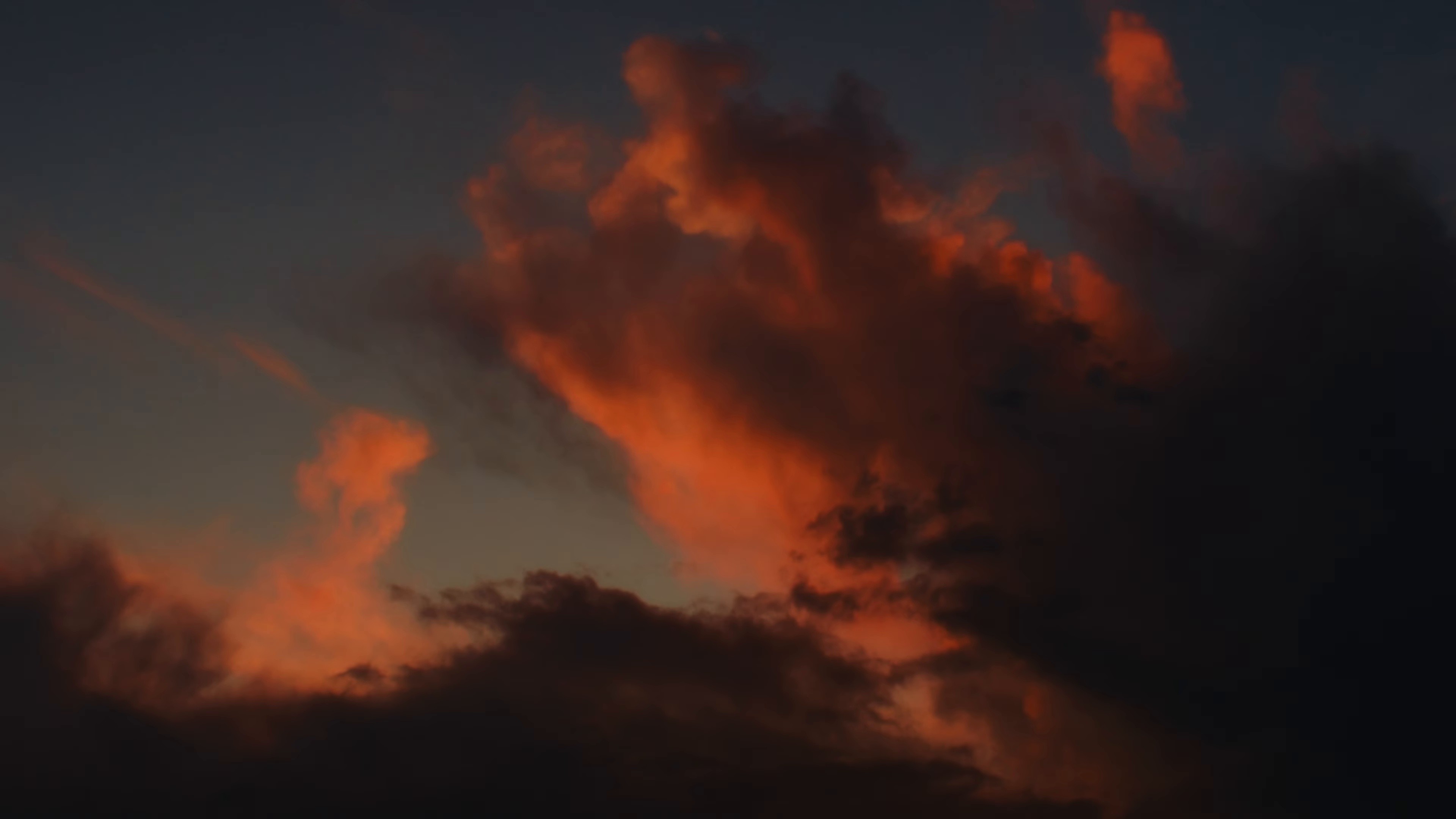 Horses (2024) —  shot,  lighting