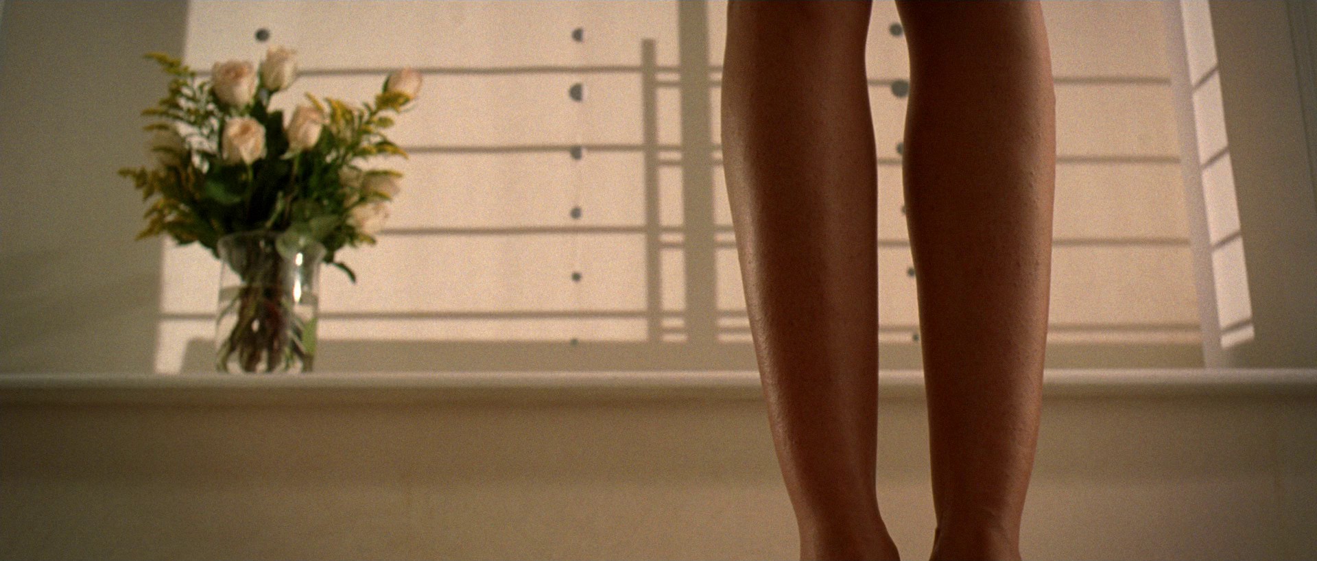 The Devil Wears Prada (2006) —  shot,  lighting