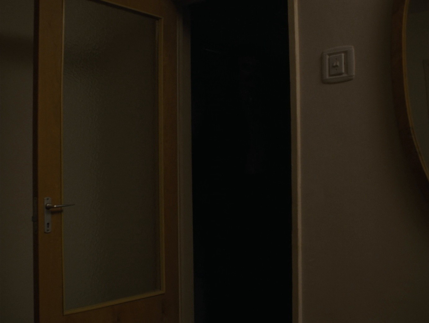 Do Not Expect Too Much from the End of the World (2024) —  shot,  lighting