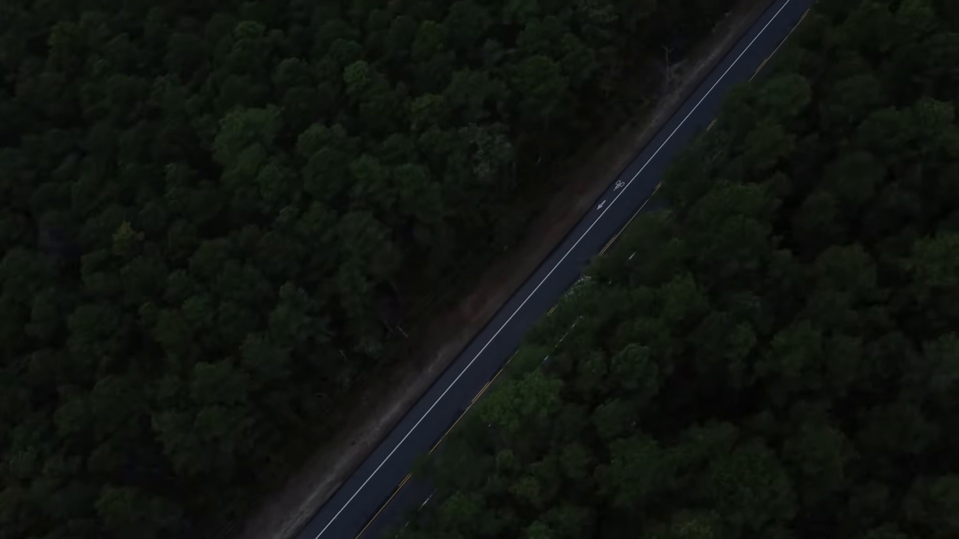 Cannibal World (2025) —  shot,  lighting