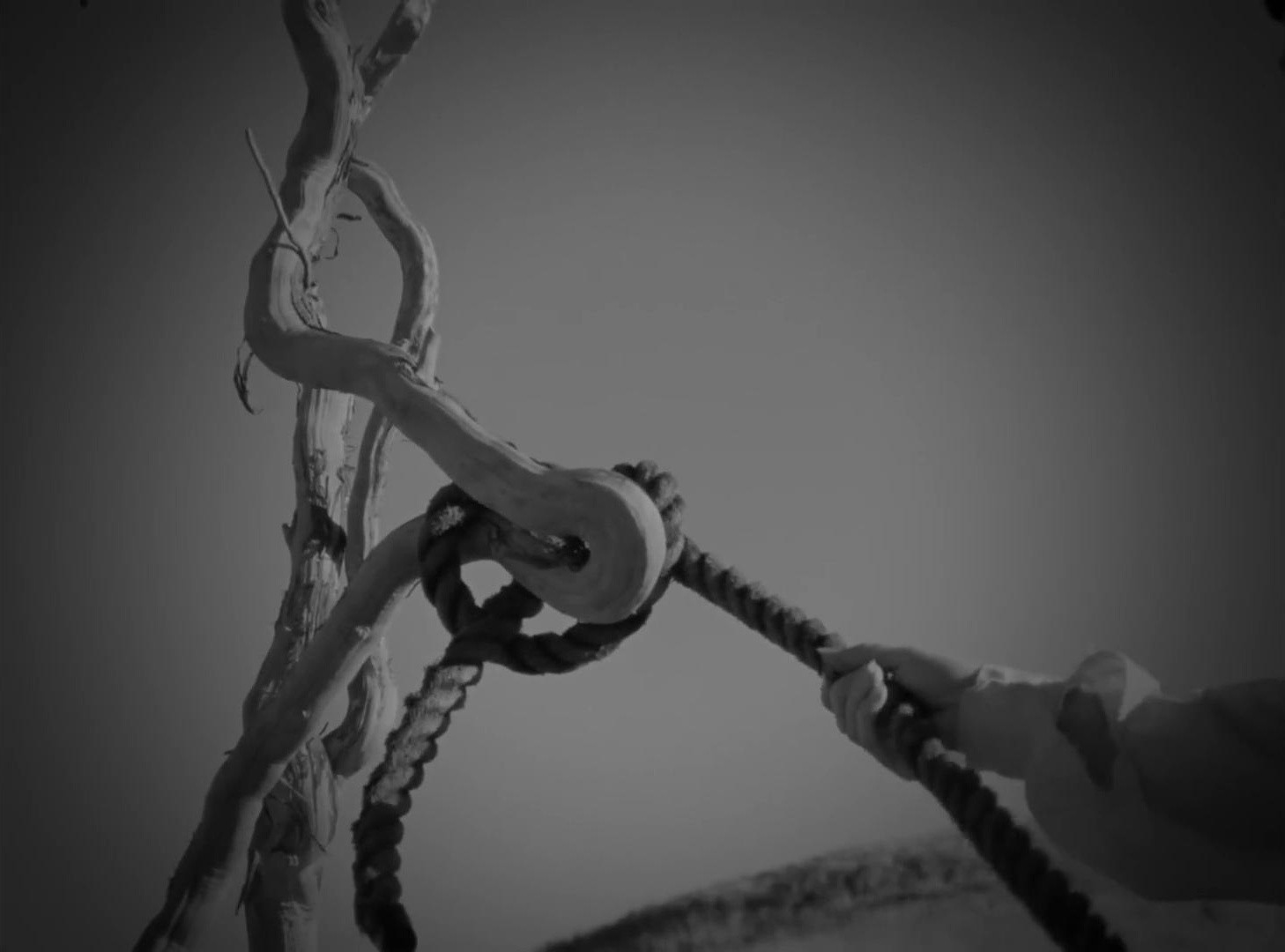 Grateful Grapefruit (2025) —  shot,  lighting