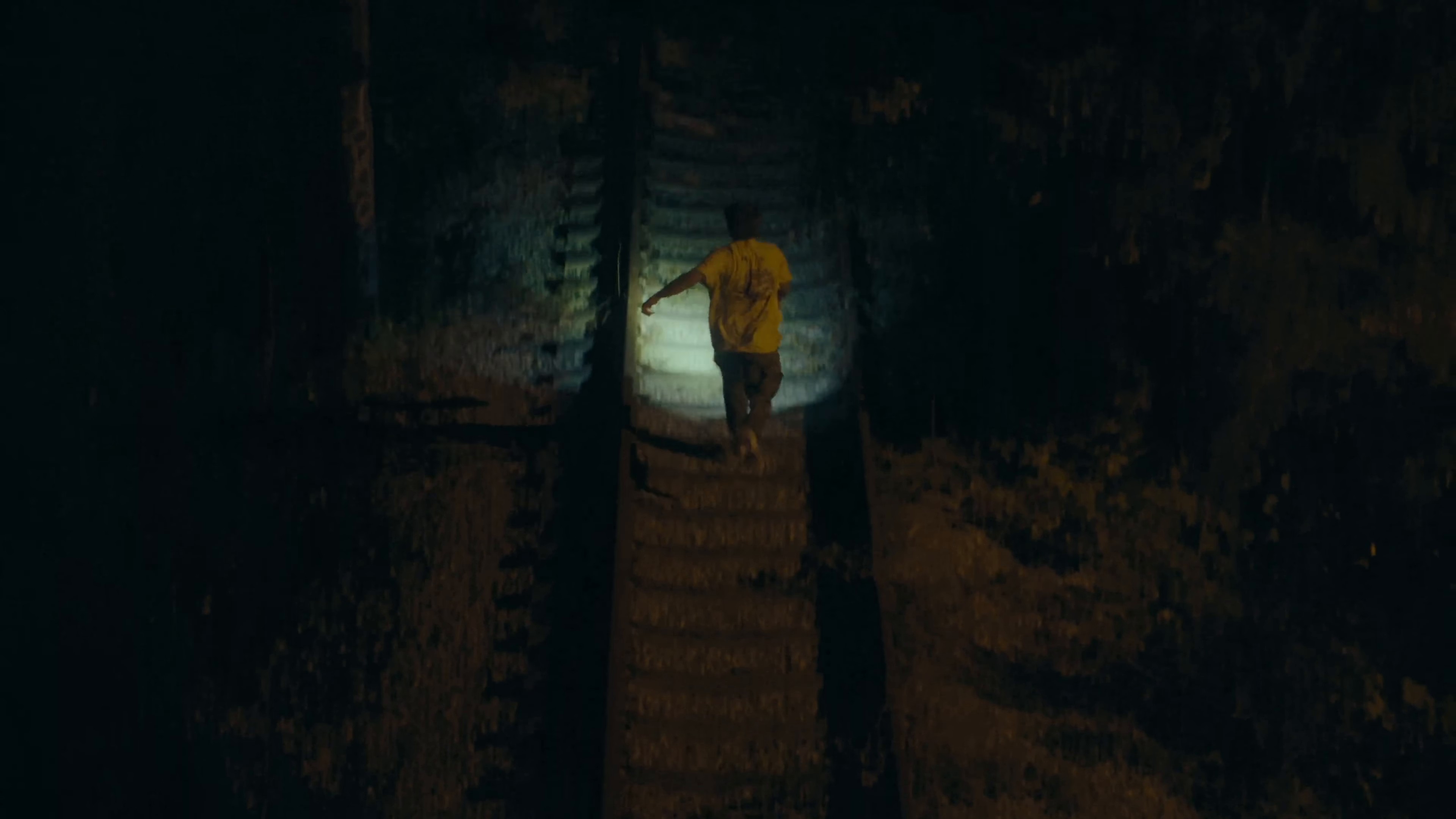 Magpie (2024) —  shot,  lighting