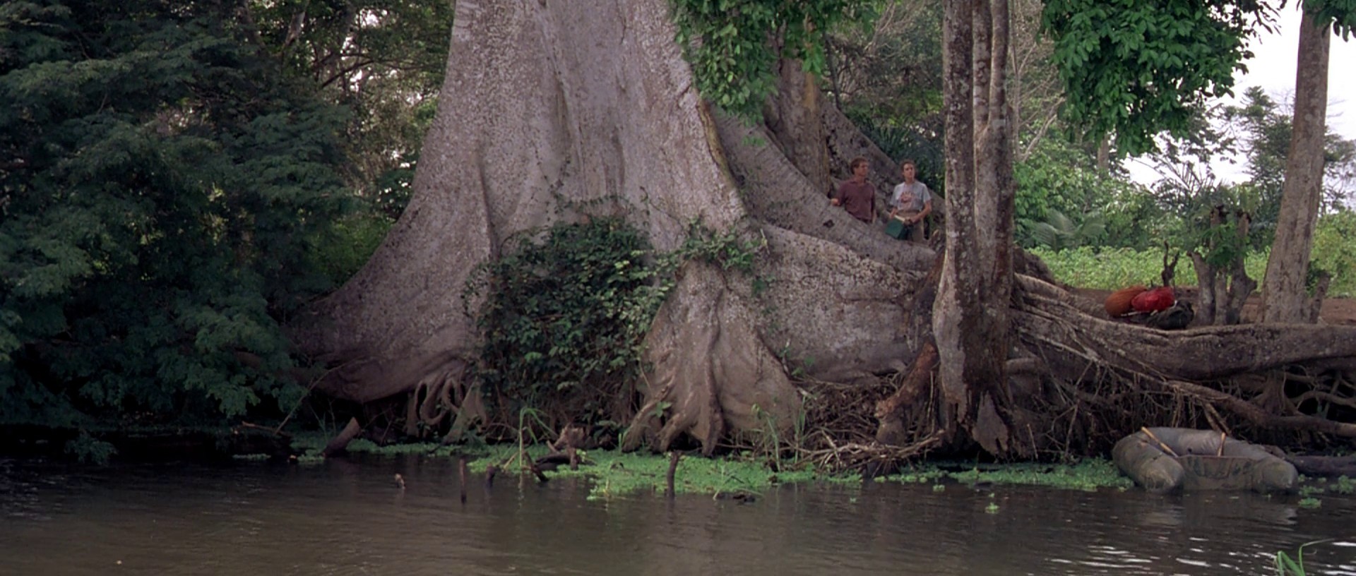 Baby: Secret of the Lost Legend (1985) —  shot,  lighting
