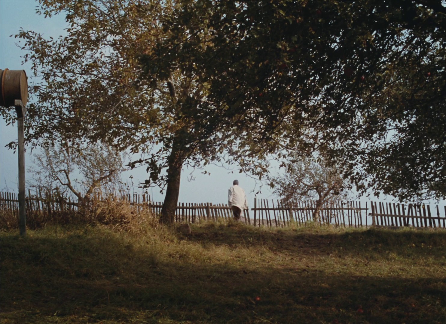 The Garden (1996) —  shot,  lighting