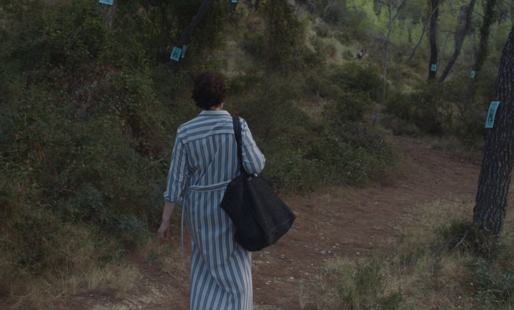 The Lost Daughter (2021) —  shot,  lighting