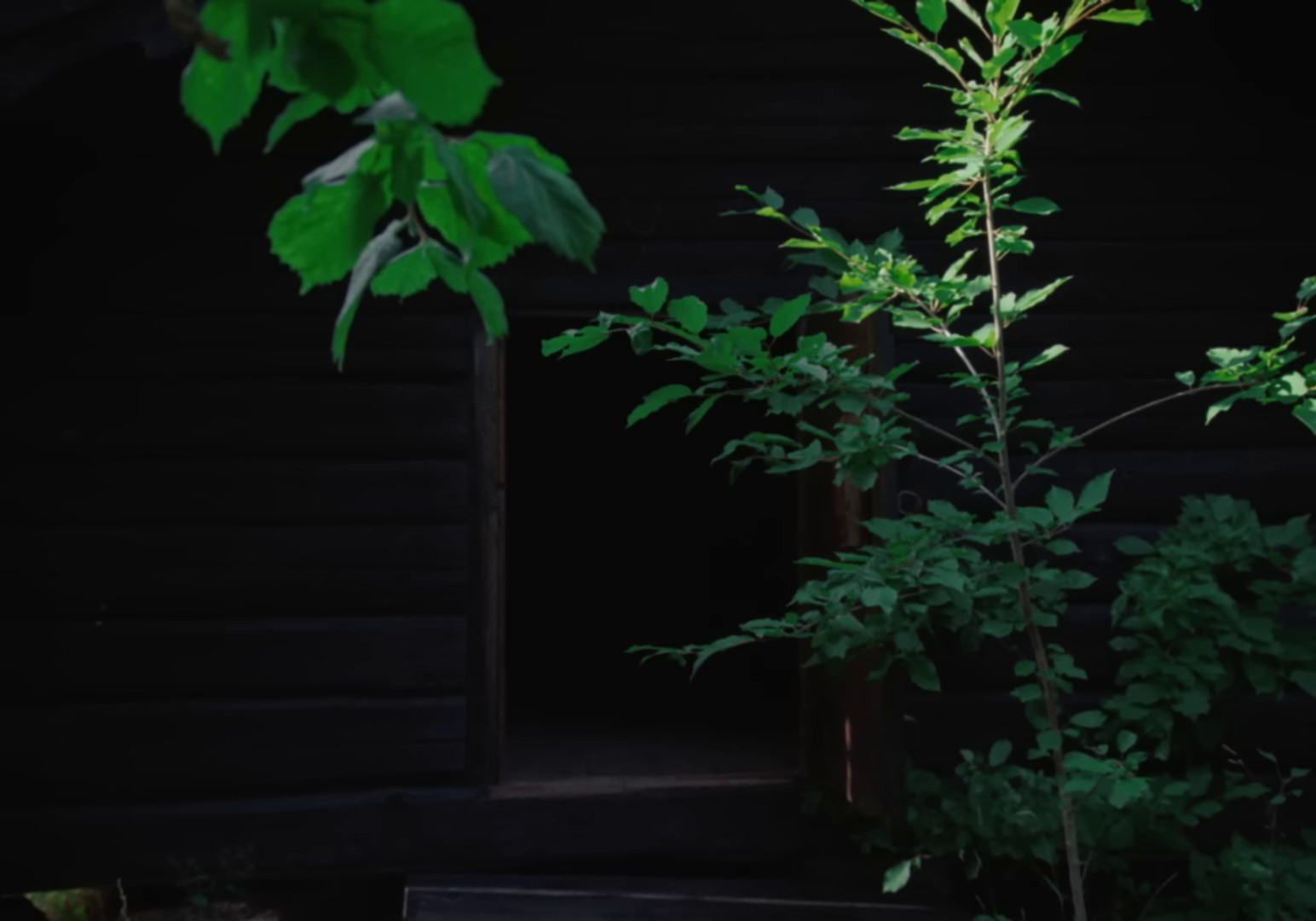 Shlut  (2022) —  shot,  lighting