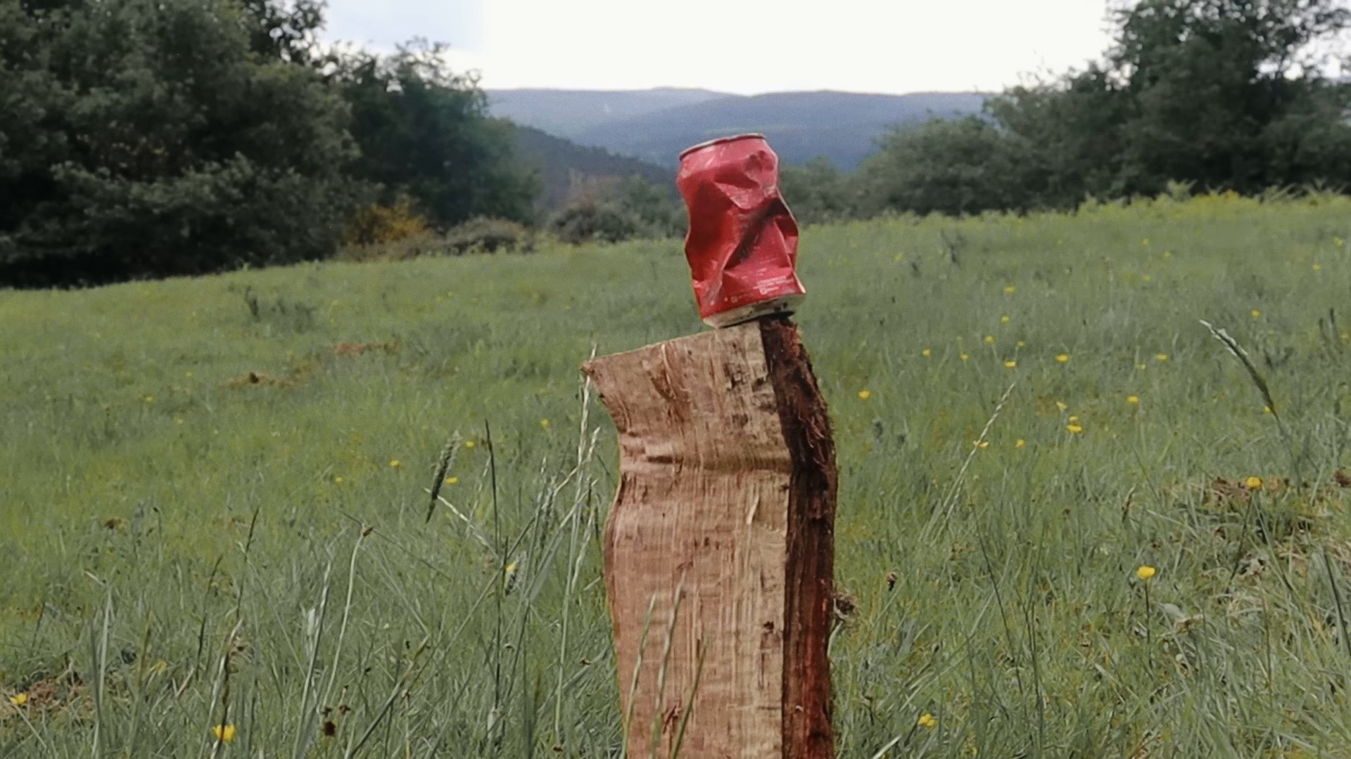 La Belleza (2025) —  shot,  lighting