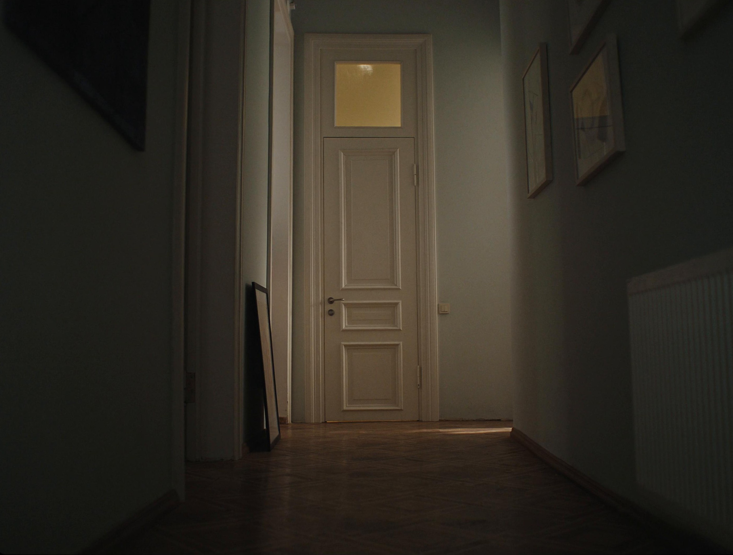 Zalando | Alex Cook (2024) —  shot,  lighting