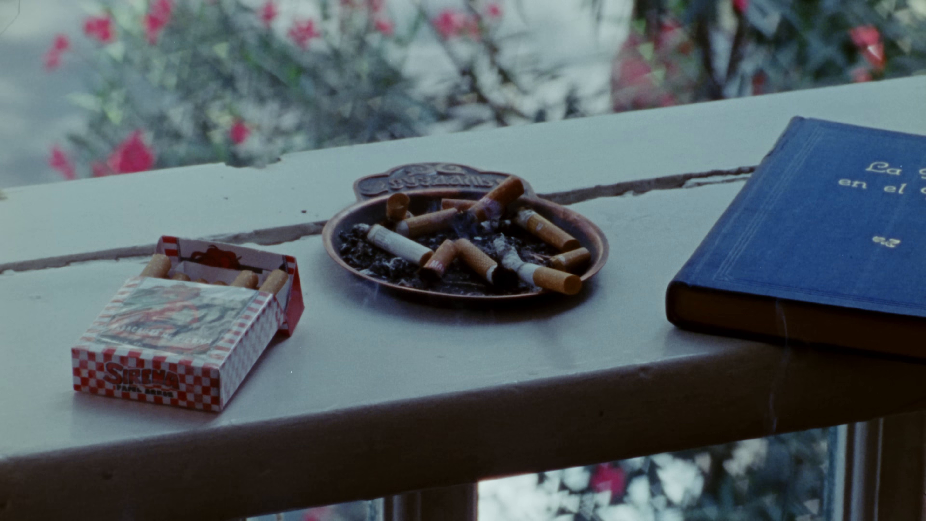 nube gris (2024) —  shot,  lighting