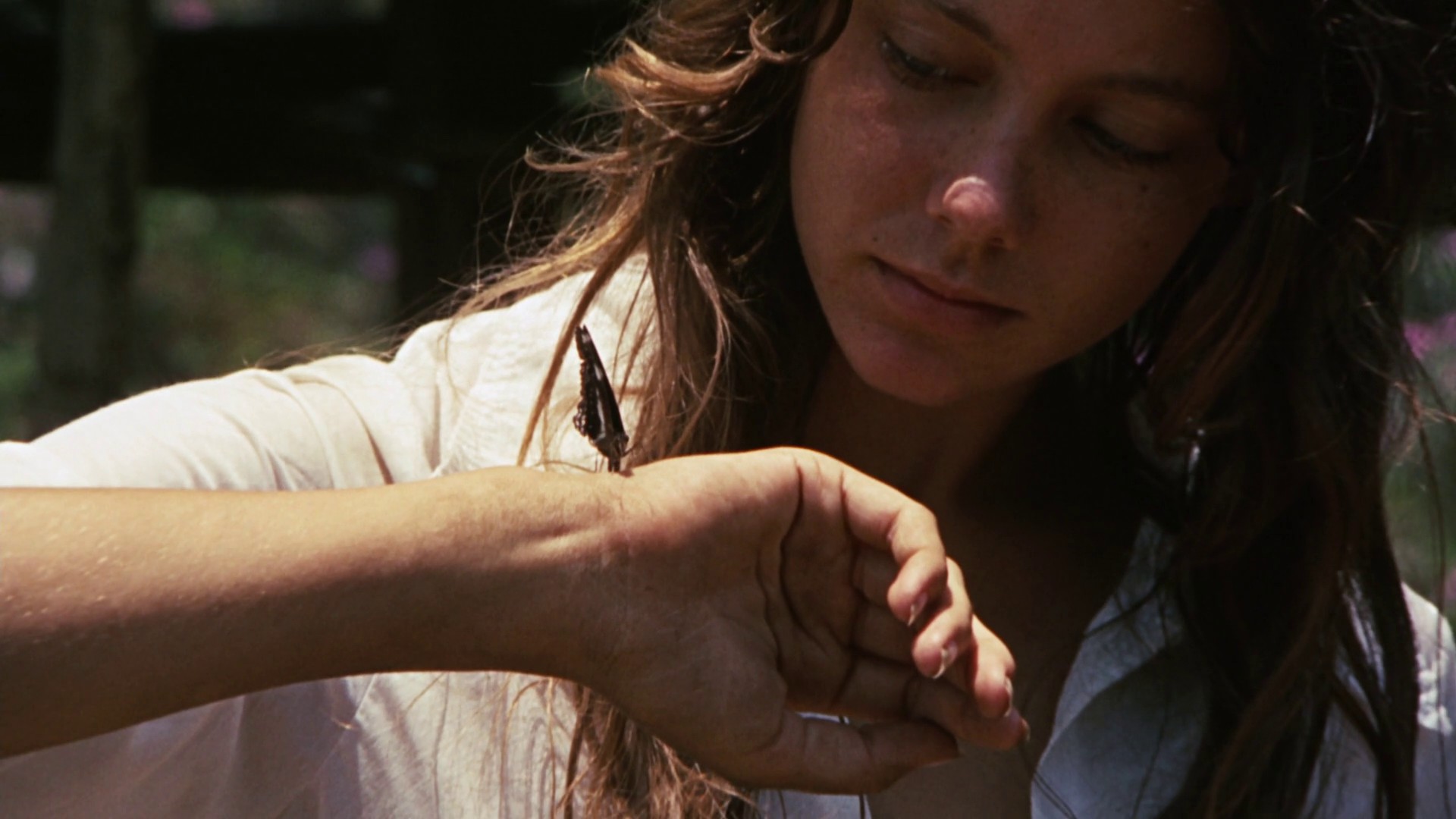 Walkabout (1971) —  shot,  lighting