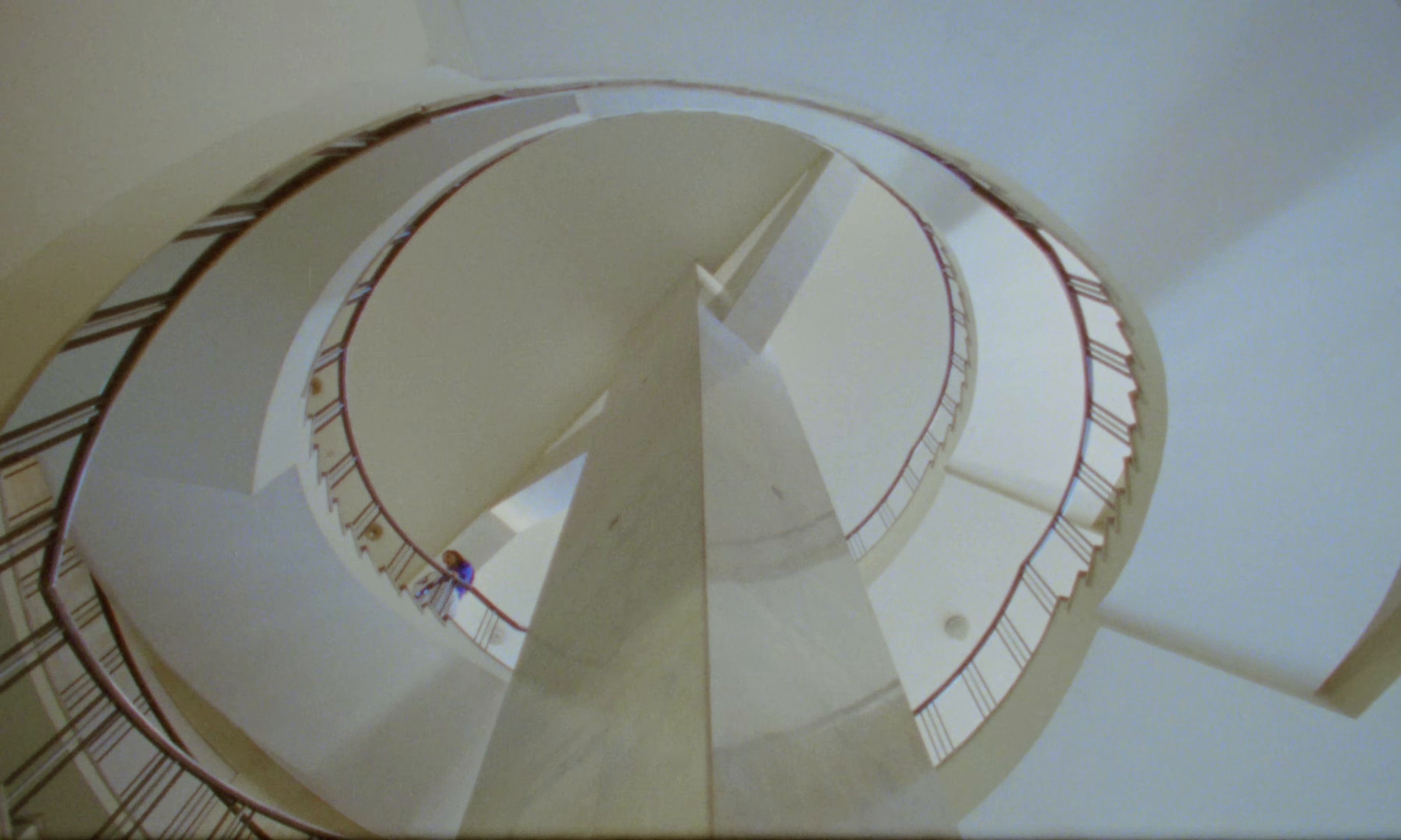 Cadela (2025) —  shot,  lighting