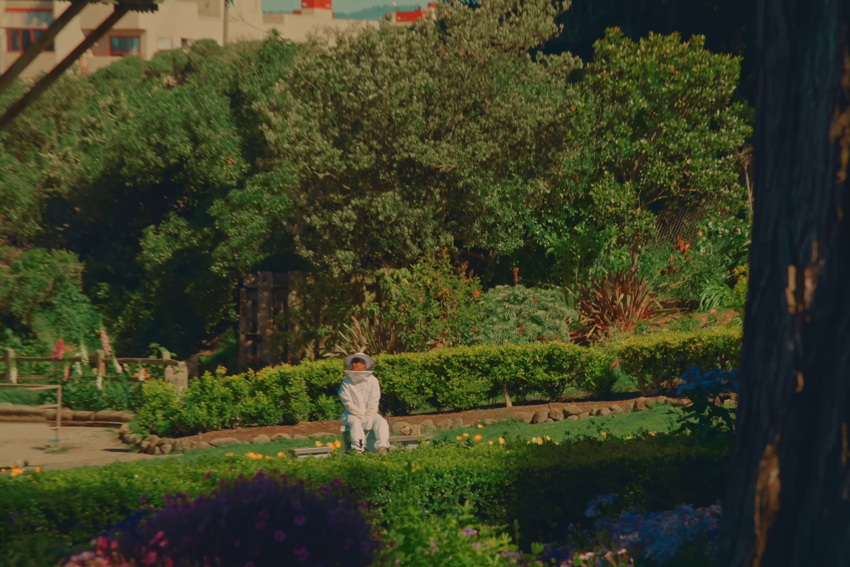 Take Carra Me (2024) —  shot,  lighting