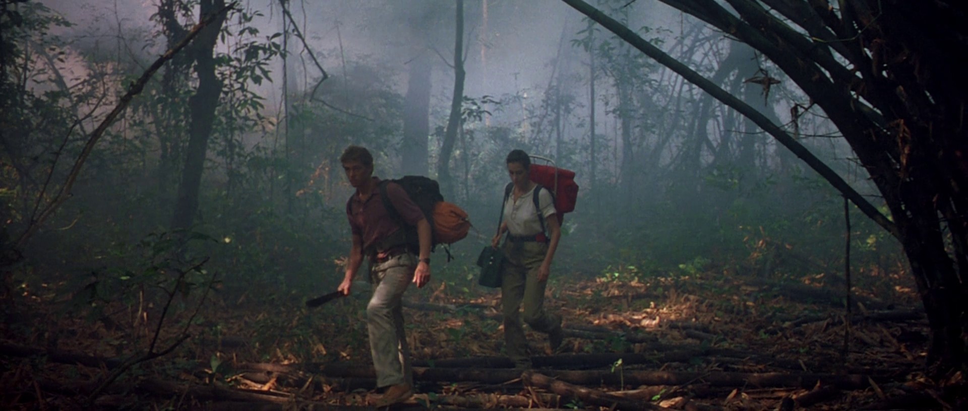 Baby: Secret of the Lost Legend (1985) —  shot,  lighting