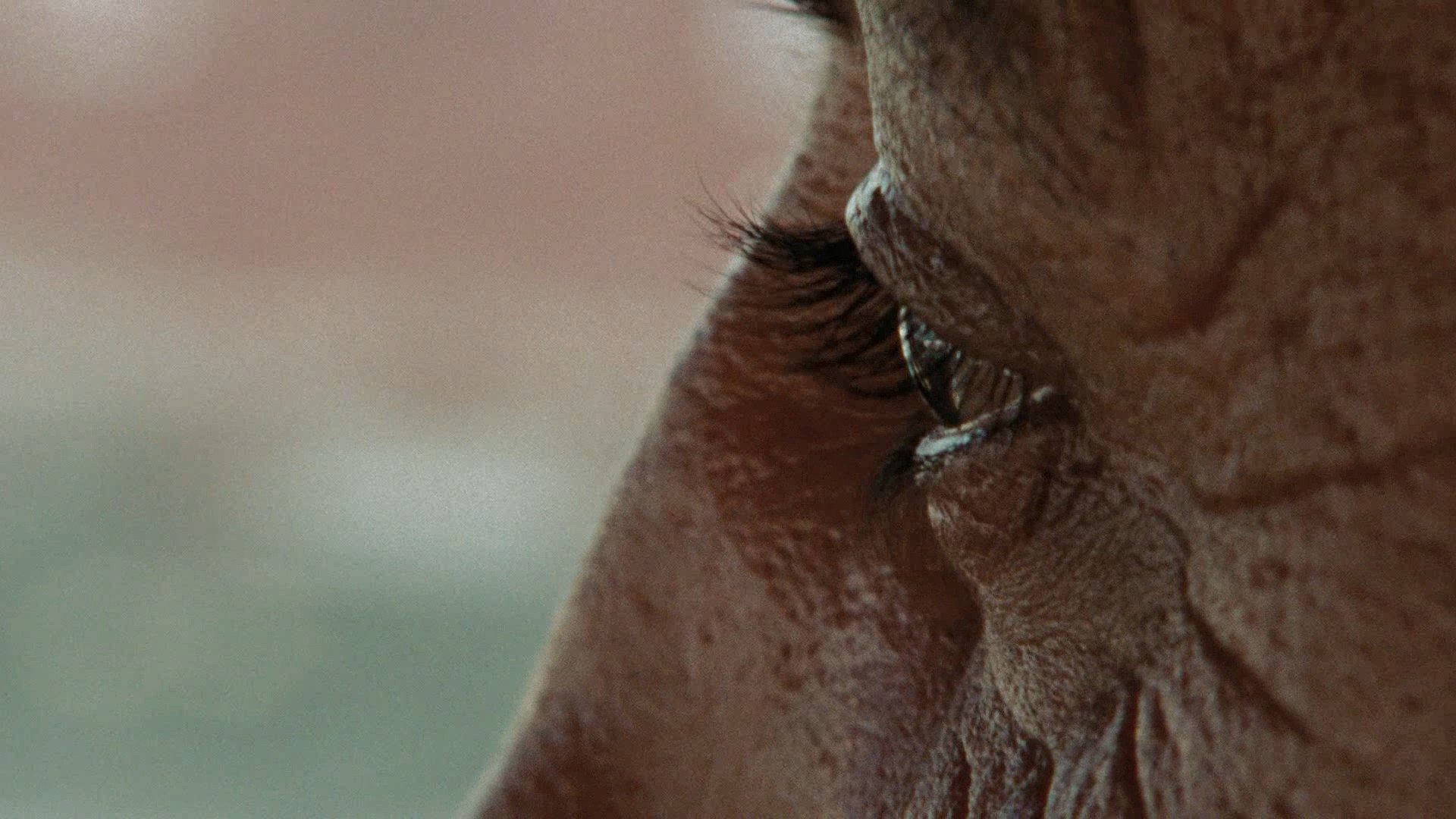 The Hurt Locker (2008) —  shot,  lighting