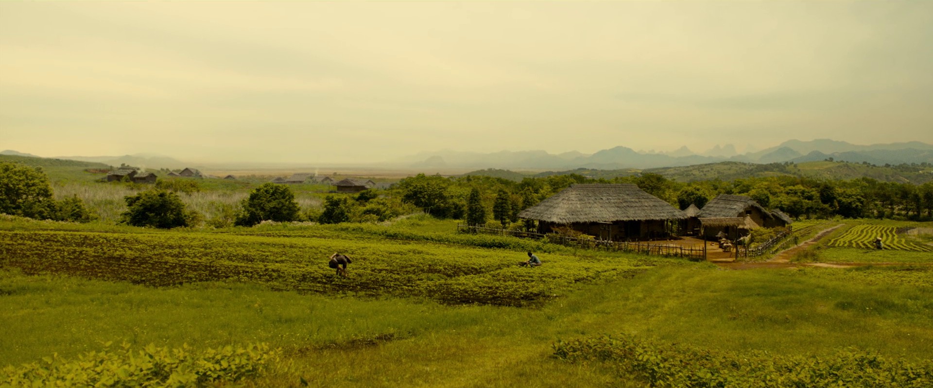 Kingdom (2019) —  shot,  lighting