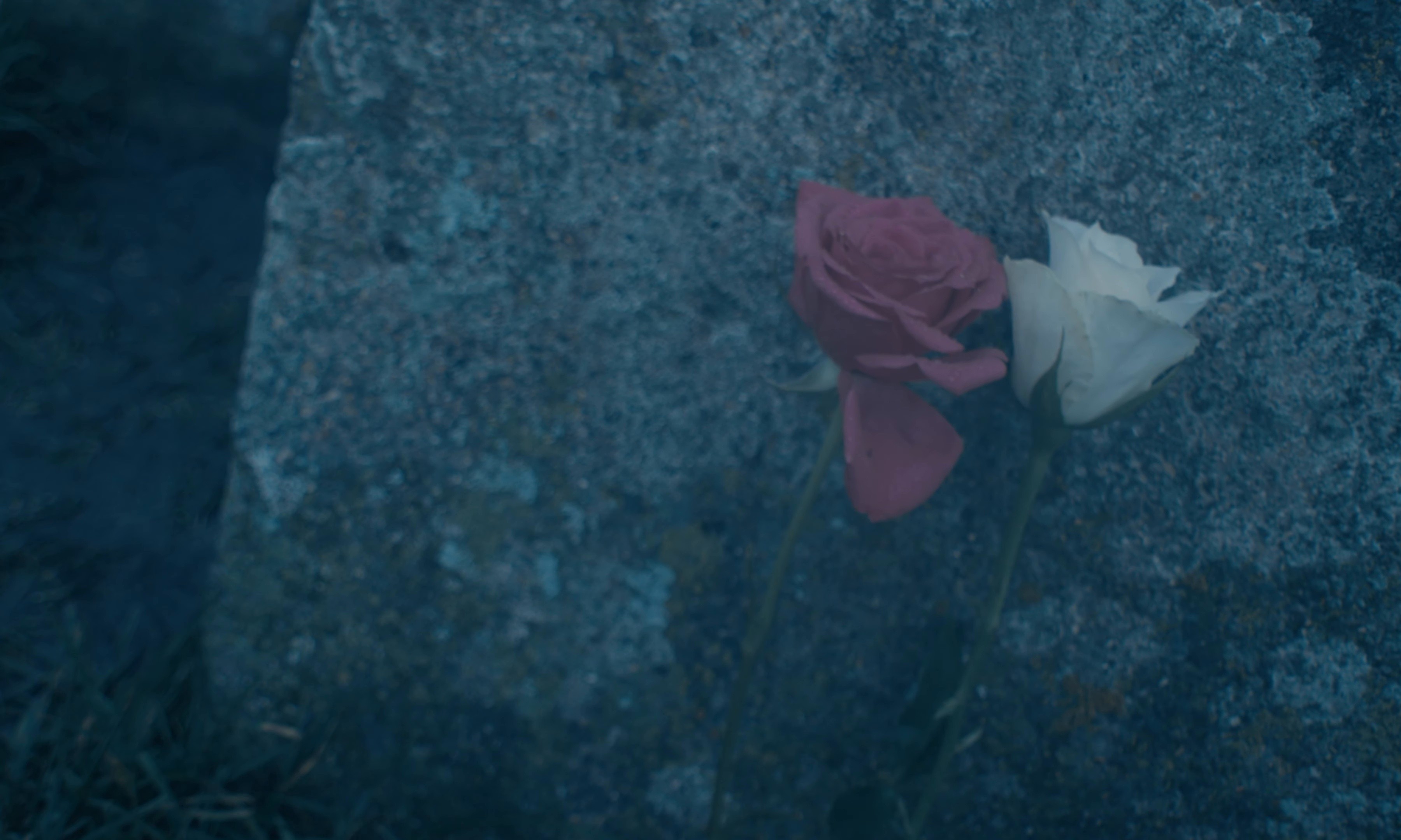 Whisper (2026) —  shot,  lighting