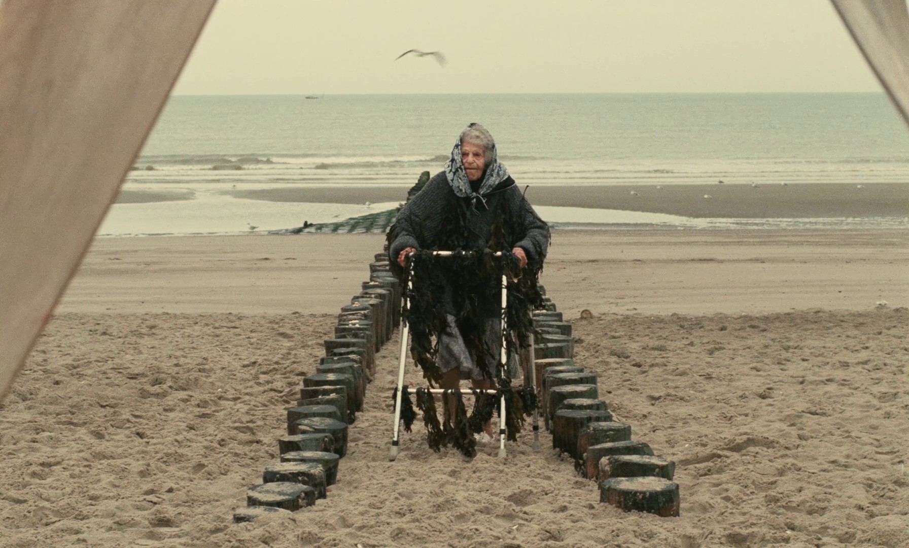 Jane B. for Agnes V. (1988) —  shot,  lighting