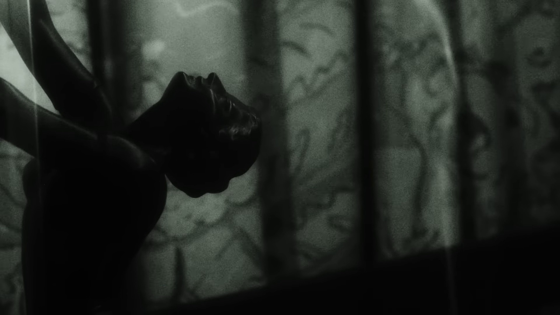 The Silence That Remains (2024) —  shot,  lighting