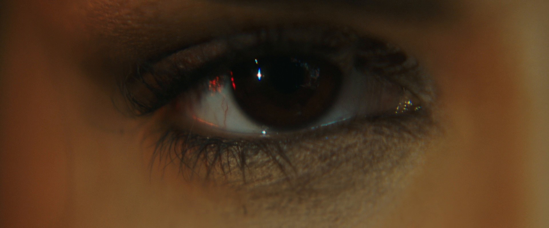 Unicorns (2024) —  shot,  lighting